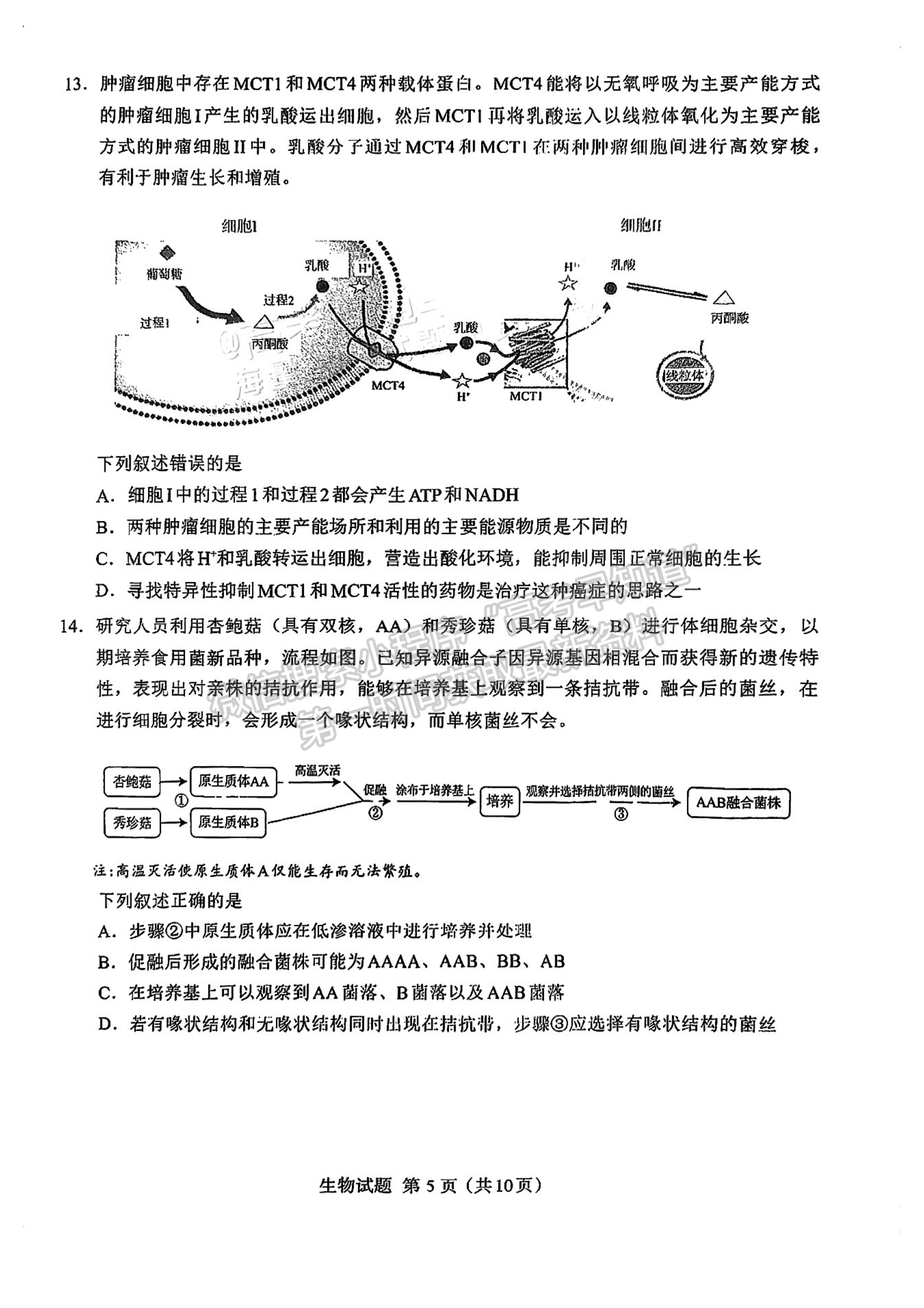 2024七市聯(lián)考生物試卷及答案