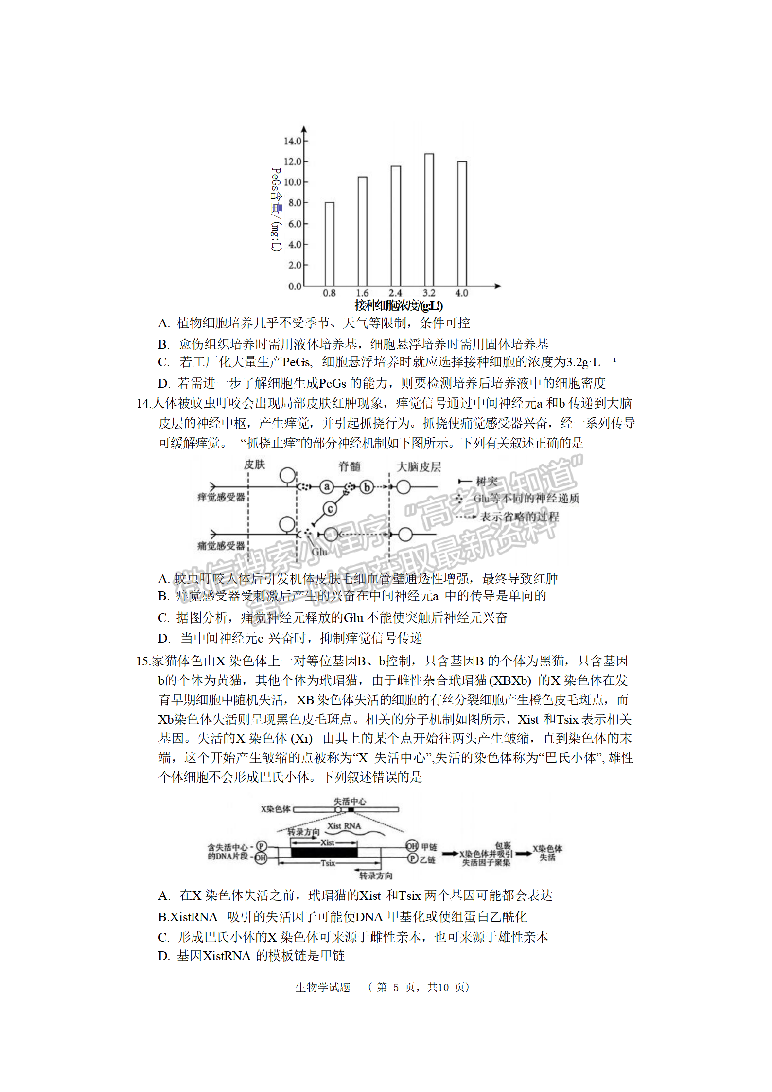 2024届湖南省长沙市长郡中学高三期末适应性考试生物试题及答案