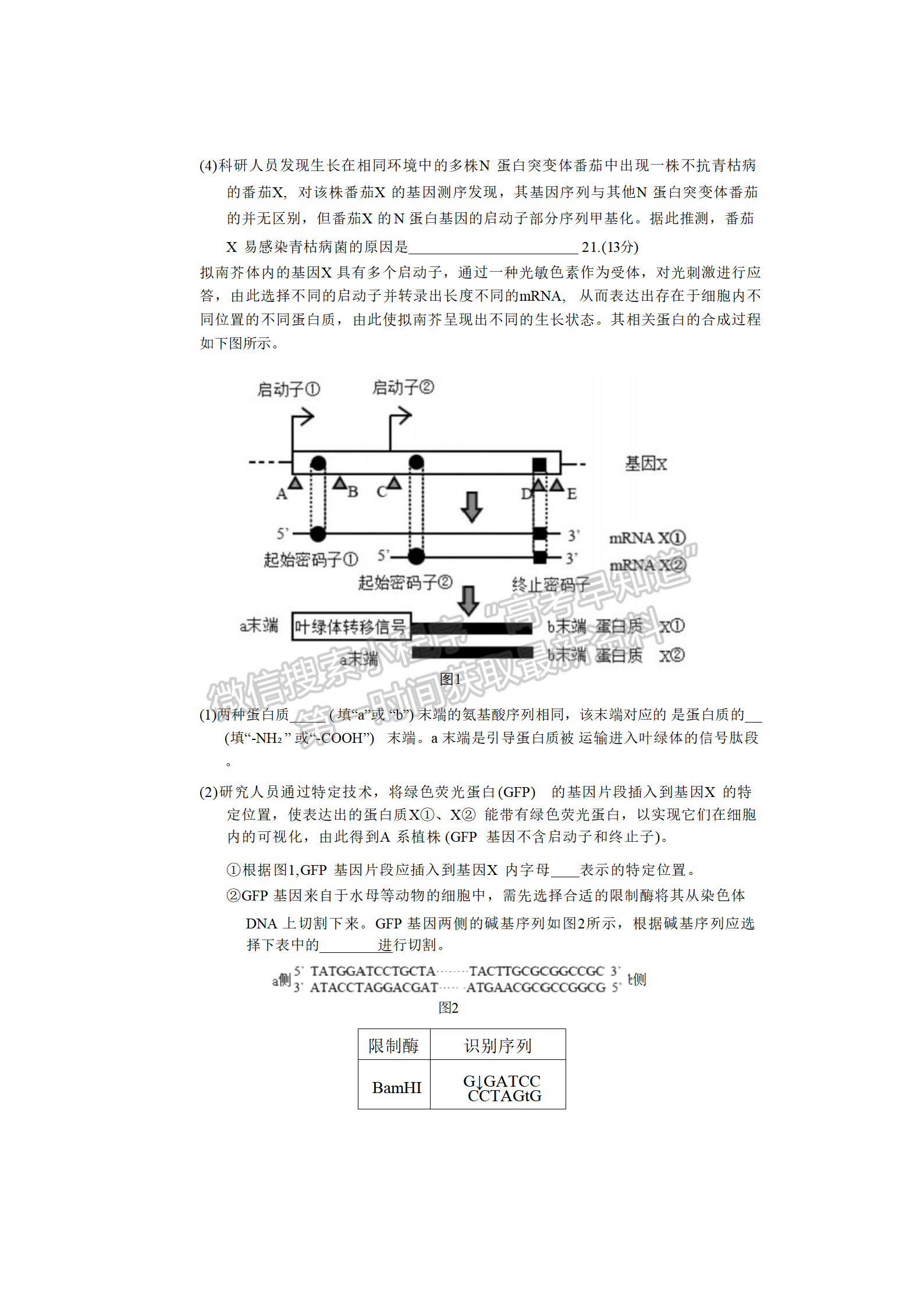 2024届湖南省长沙市长郡中学高三期末适应性考试生物试题及答案