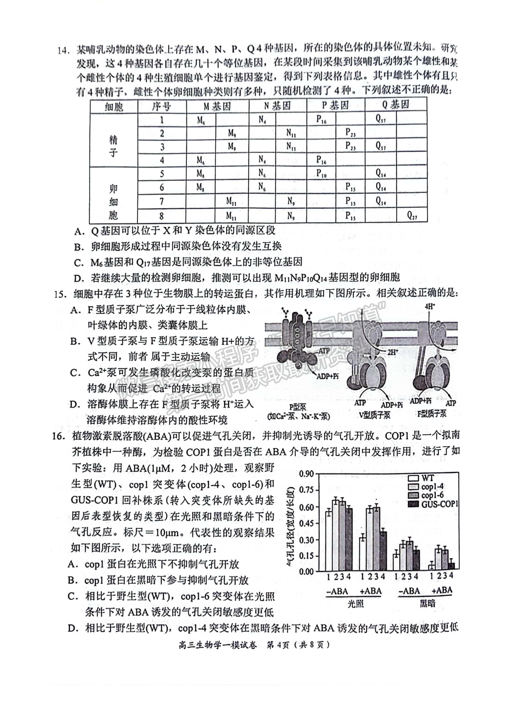 2024届湖南省岳阳市高三质量监测（一）生物试题及答案