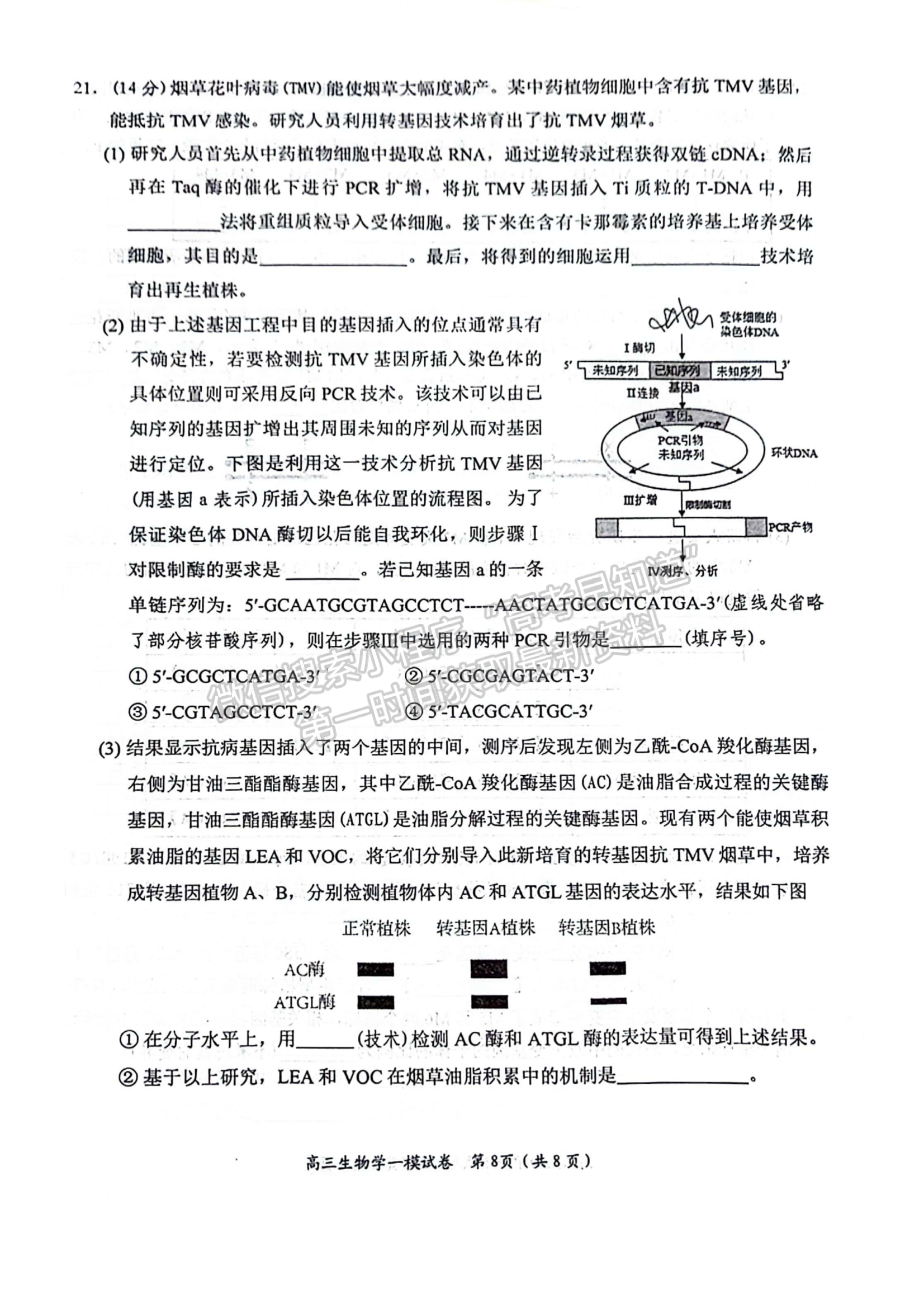 2024届湖南省岳阳市高三质量监测（一）生物试题及答案