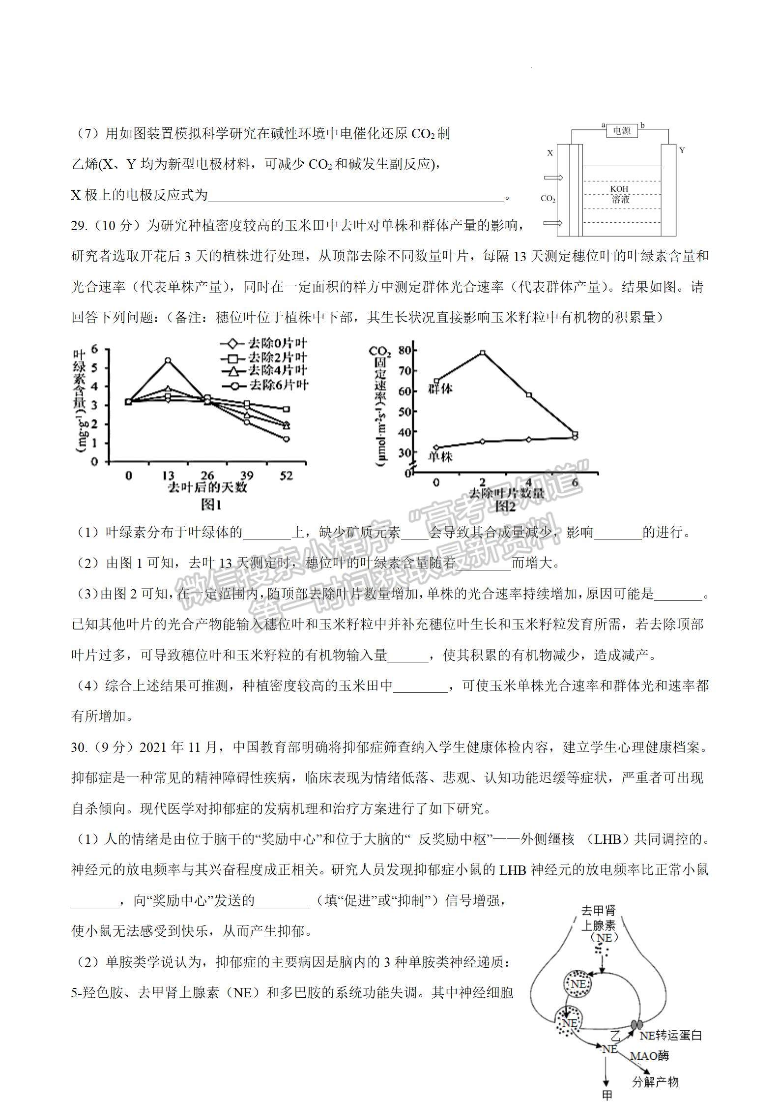 四川省成都市石室中學2024屆高三上學期期末考試理綜試卷及參考答案