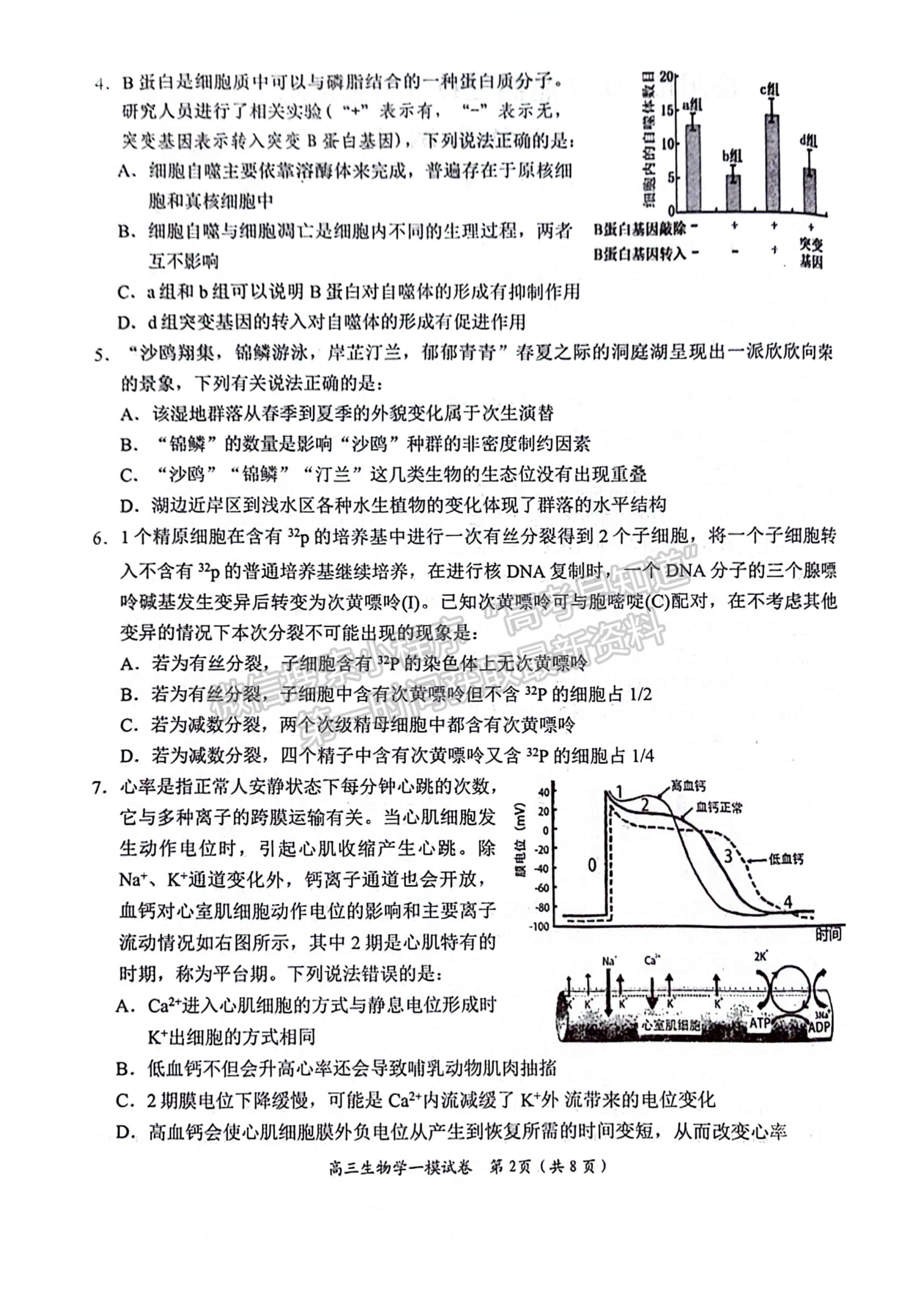 2024届湖南省岳阳市高三质量监测（一）生物试题及答案