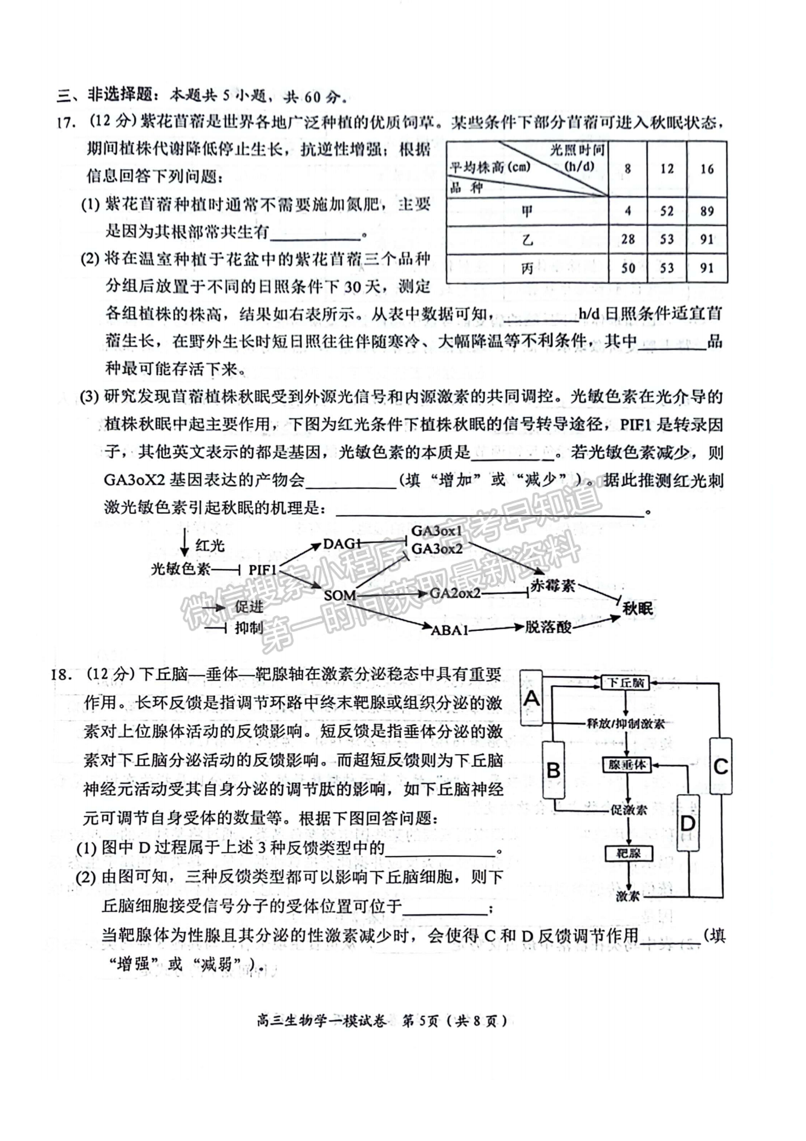 2024届湖南省岳阳市高三质量监测（一）生物试题及答案