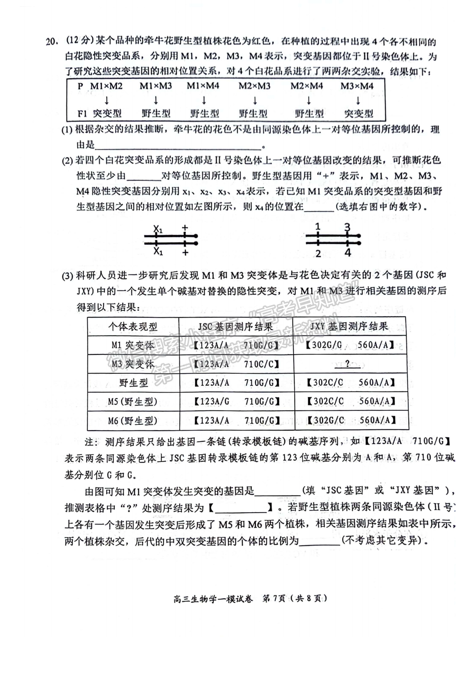 2024届湖南省岳阳市高三质量监测（一）生物试题及答案