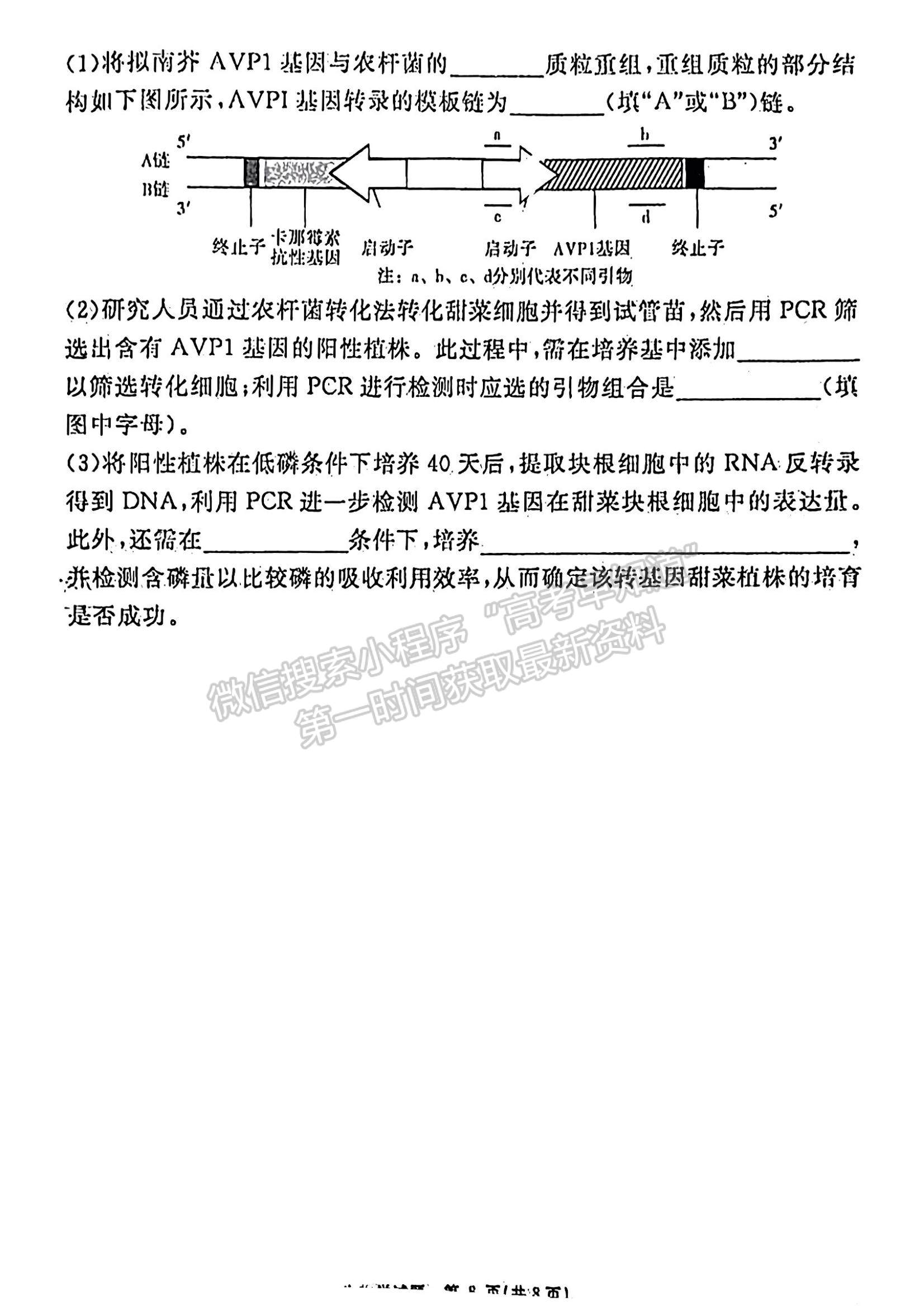 安徽省2024届耀正优+高三名校期末测试生物试卷及参考答案