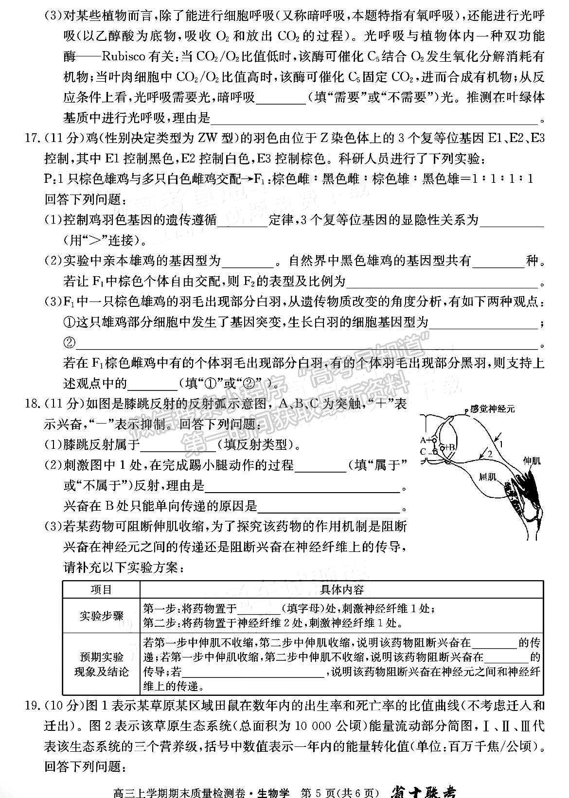 合肥一中2024届高三上学期期末质量检测卷生物试卷及参考答案