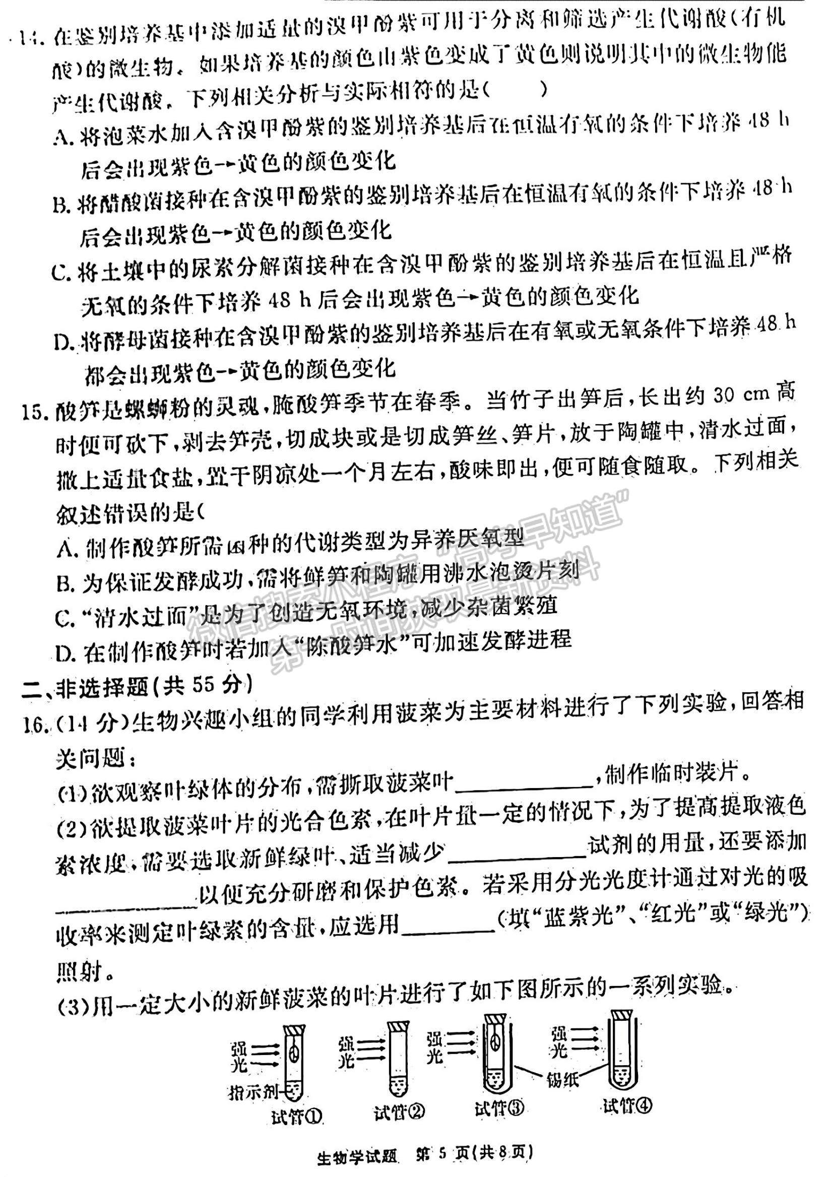 安徽省2024届耀正优+高三名校期末测试生物试卷及参考答案