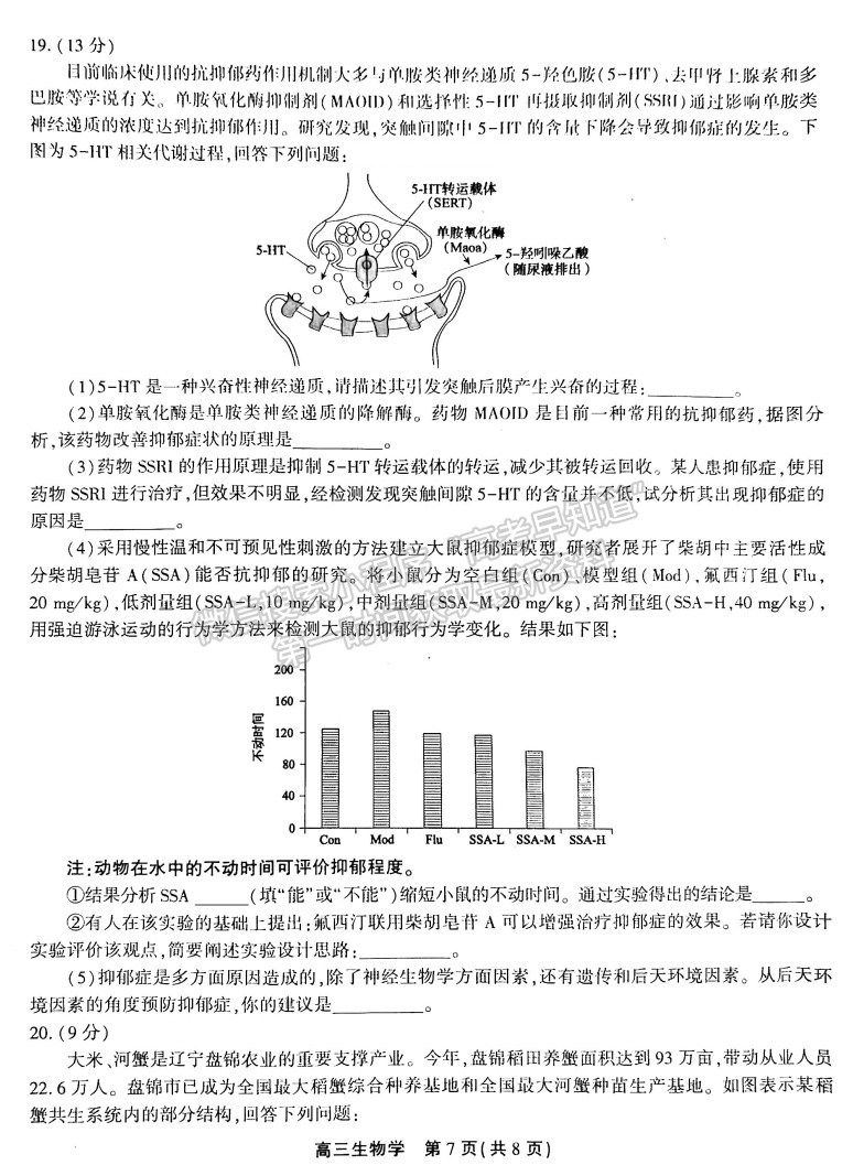 2024安徽鼎尖教育高三1月期末考试生物试卷及参考答案