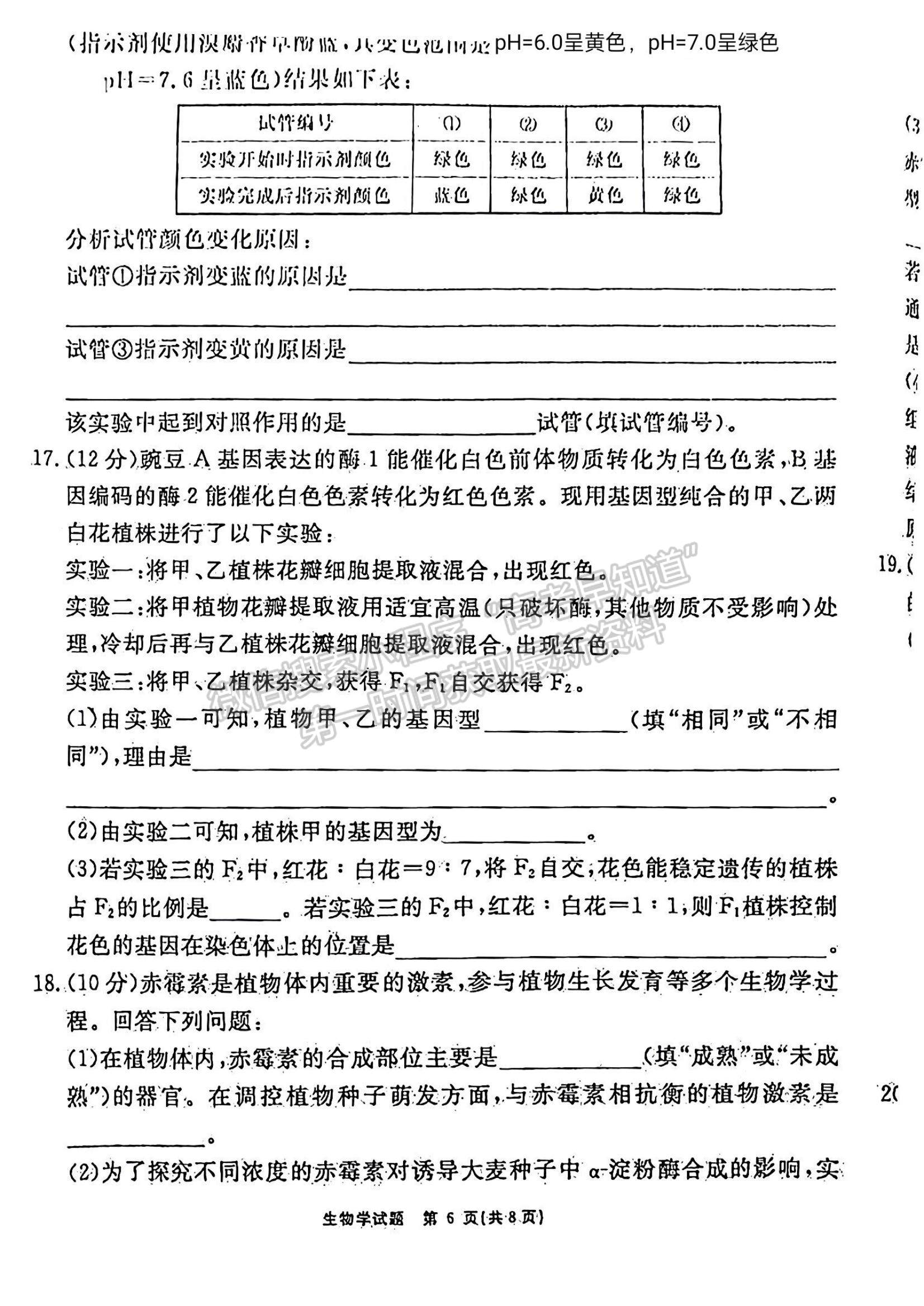 安徽省2024届耀正优+高三名校期末测试生物试卷及参考答案