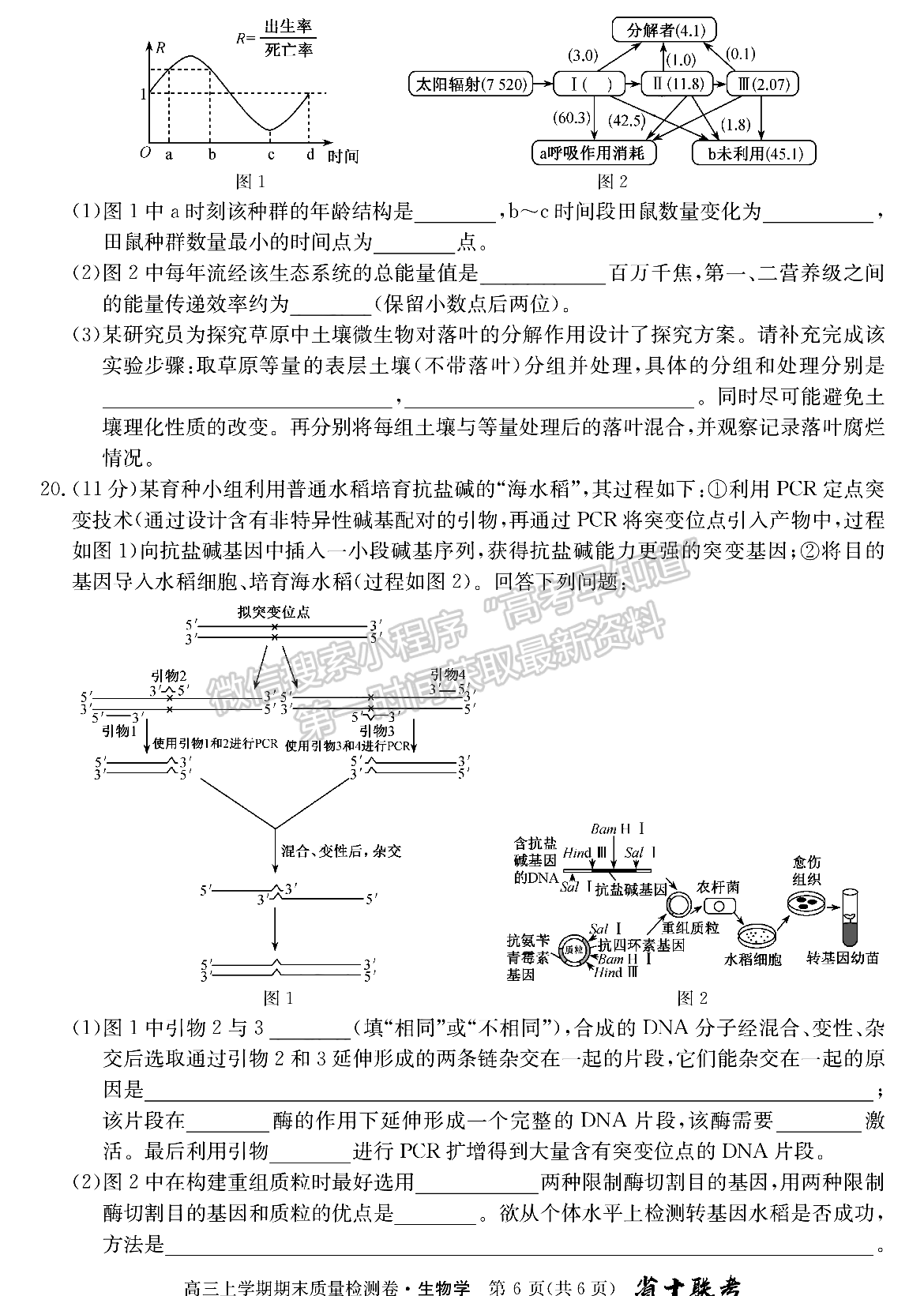 合肥一中2024届高三上学期期末质量检测卷生物试卷及参考答案