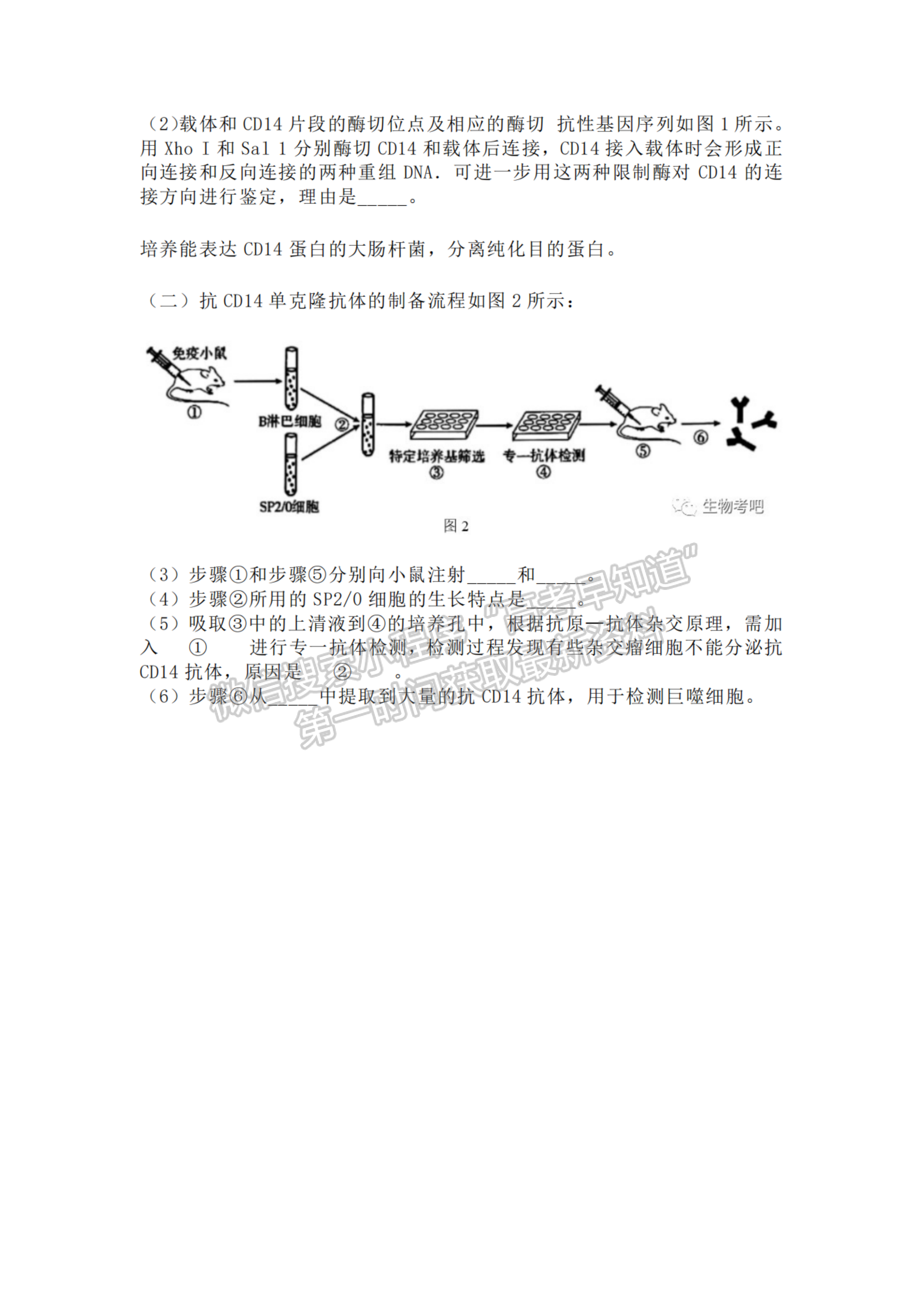 2023福建高考真題生物試卷及答案