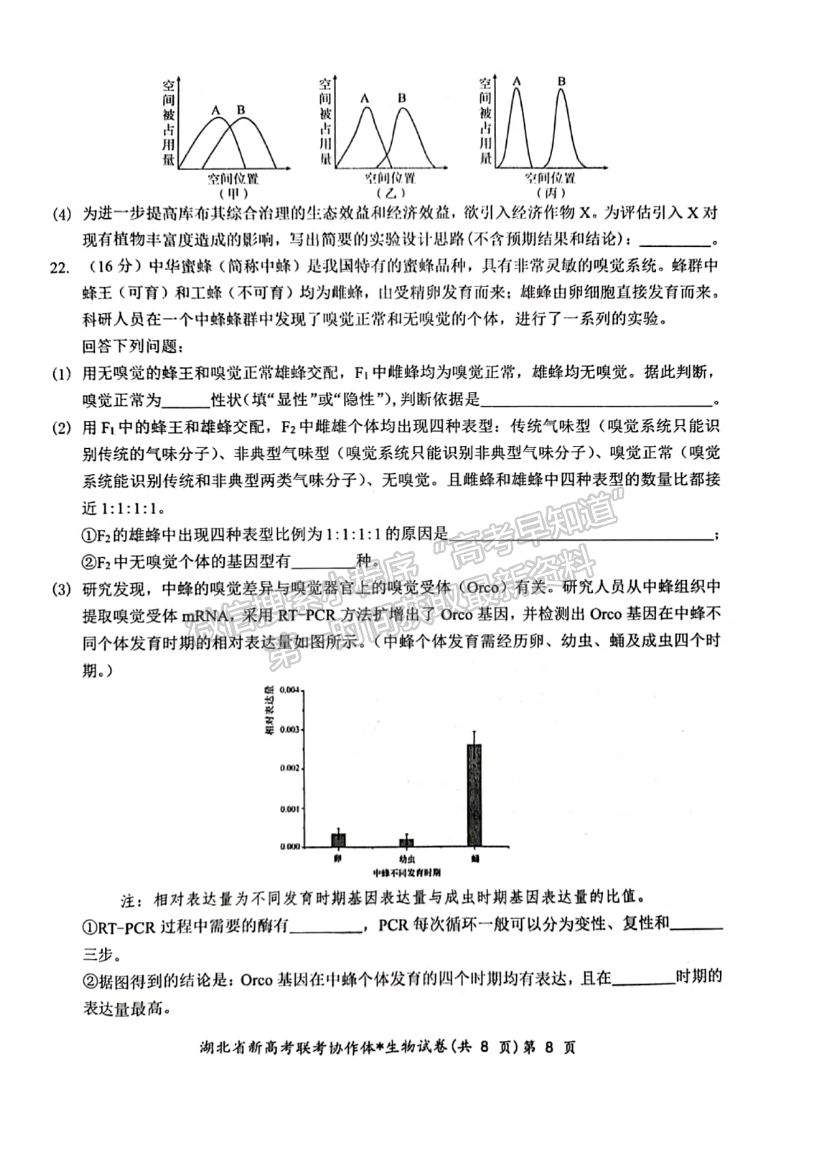 2024届湖北新高考联考协作体高三2月收心考生物试题及答案