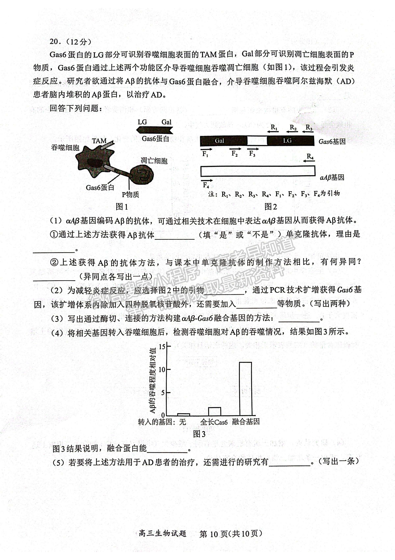 福建省名校联盟全国优质校2024届高三大联考生物试卷及答案