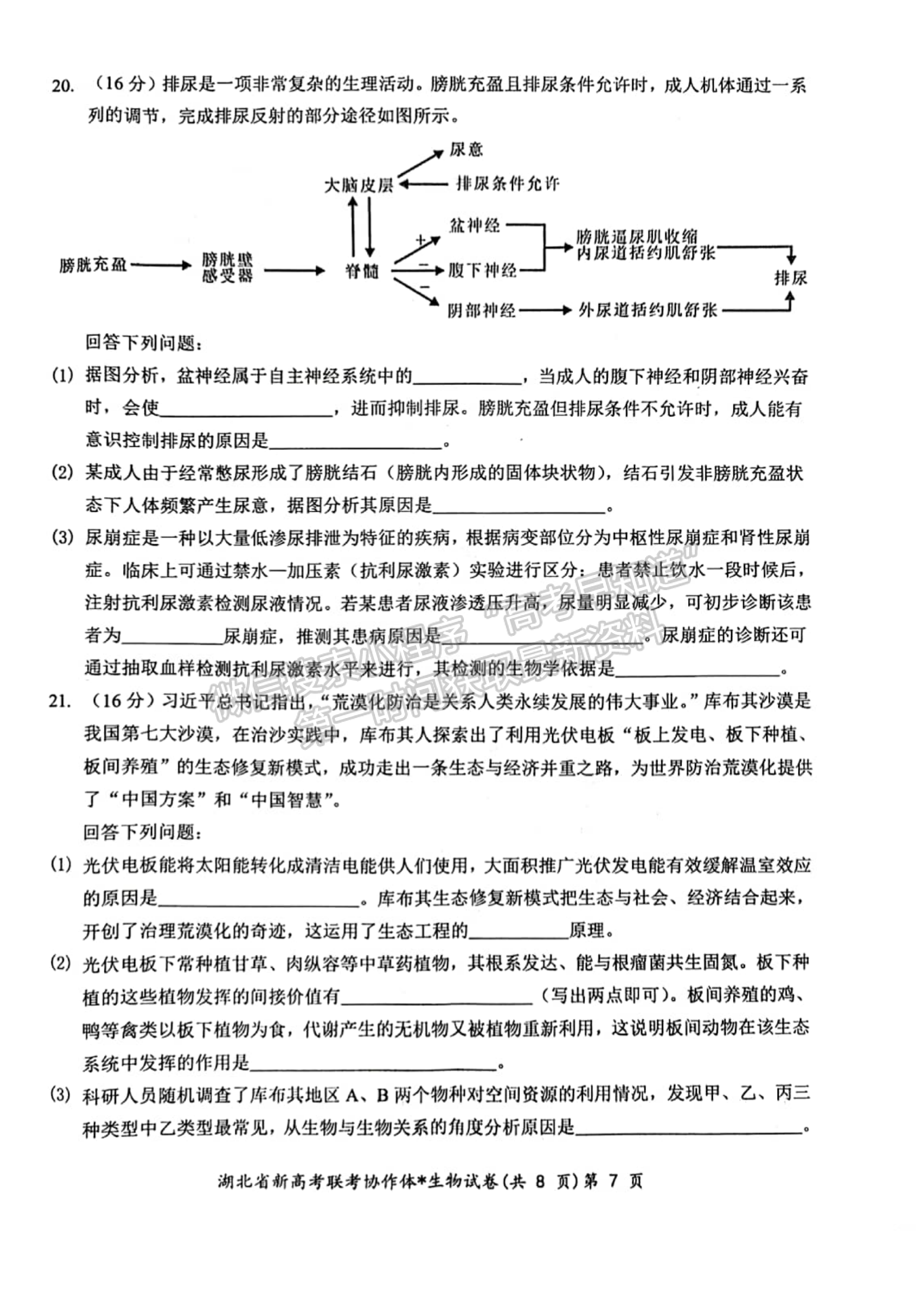 2024届湖北新高考联考协作体高三2月收心考生物试题及答案