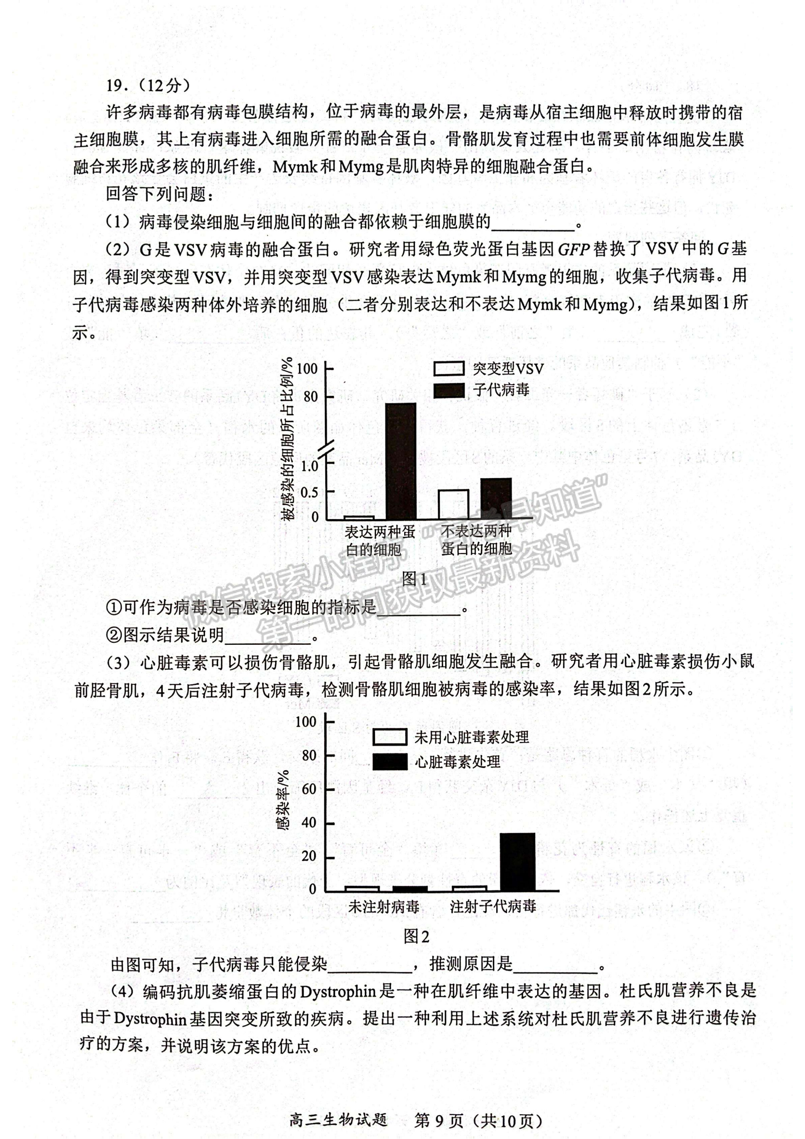 福建省名校联盟全国优质校2024届高三大联考生物试卷及答案