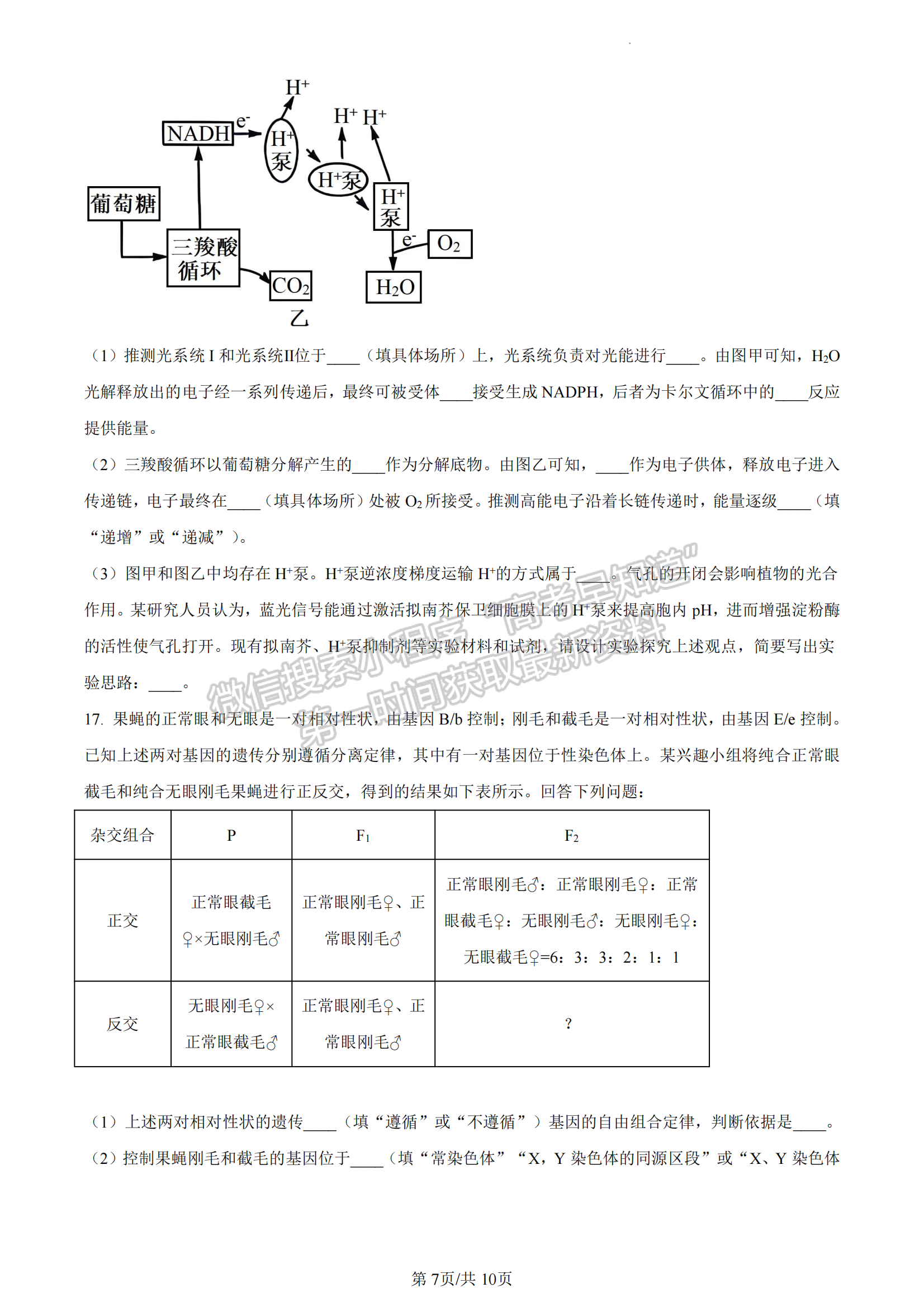 福建省百校联考2023-2024学年高三下学期开学考生物试卷及答案