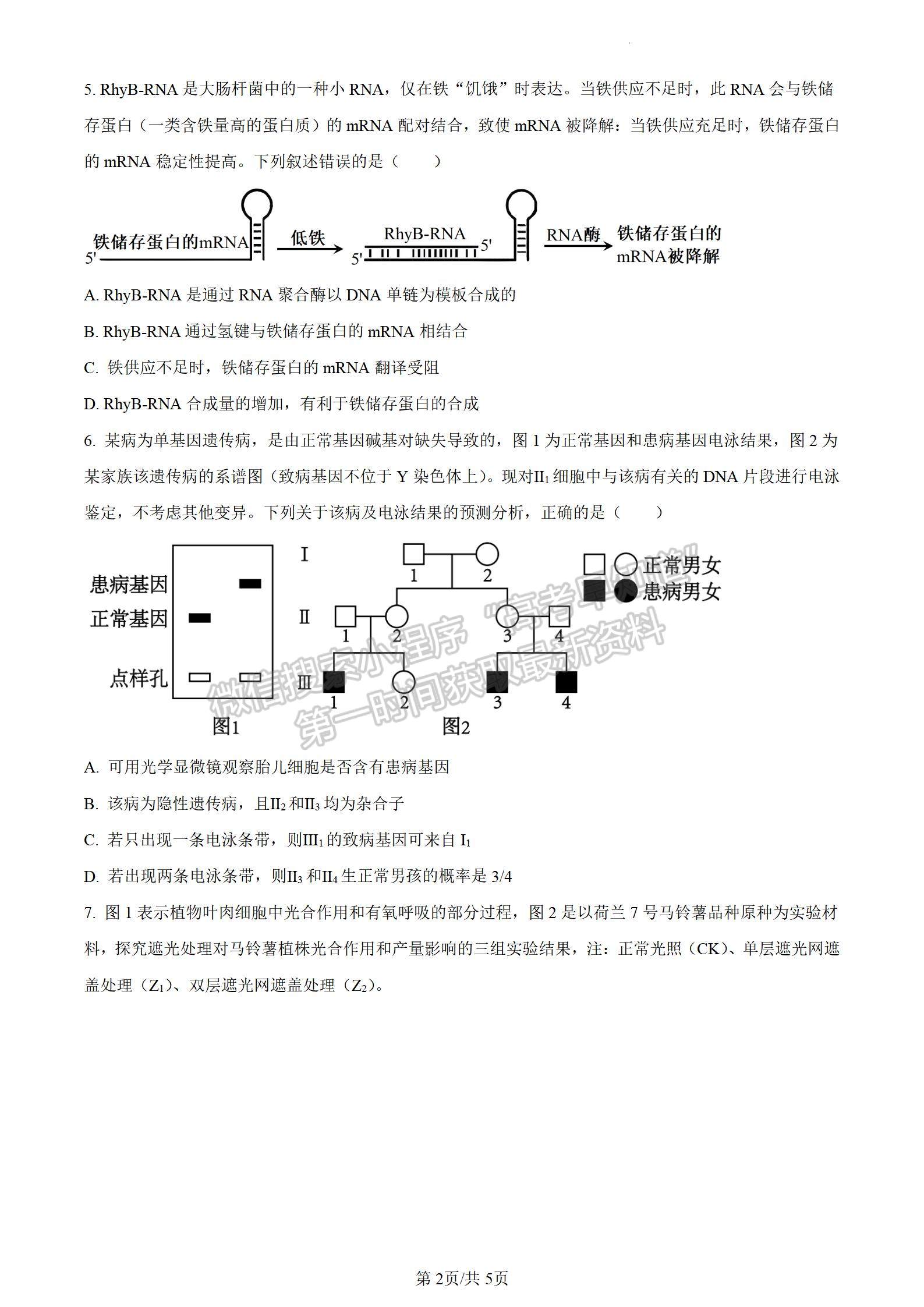 四川省成都市树德中学2023-2024学年高三上学期期末考试生物试卷及参考答案