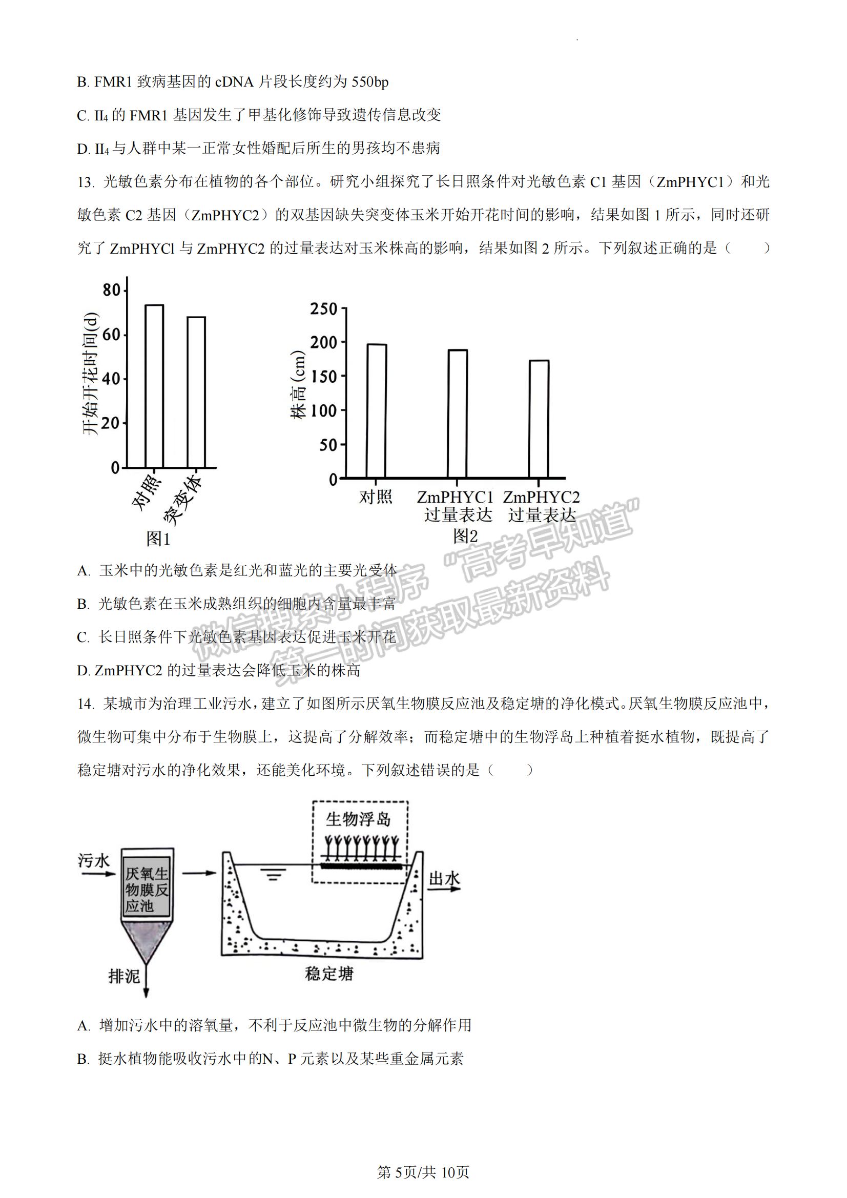 福建省百校联考2023-2024学年高三下学期开学考生物试卷及答案