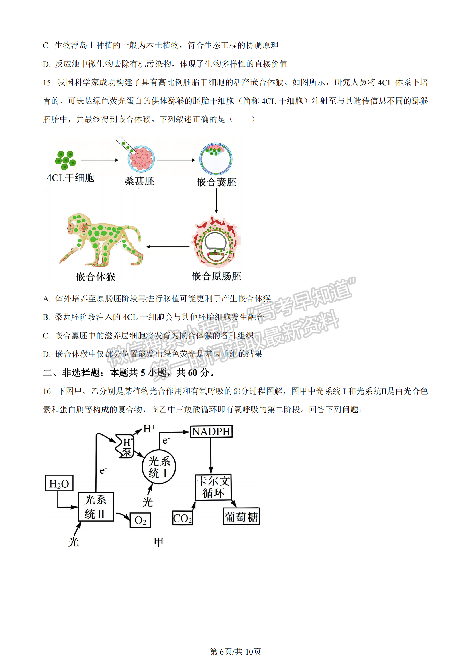 福建省百校联考2023-2024学年高三下学期开学考生物试卷及答案