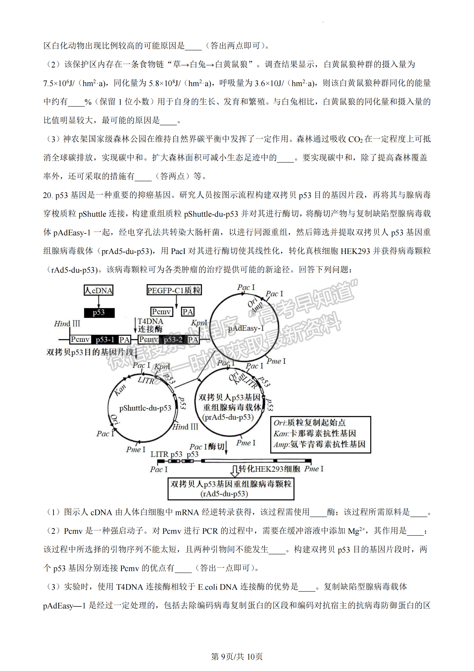 福建省百校联考2023-2024学年高三下学期开学考生物试卷及答案