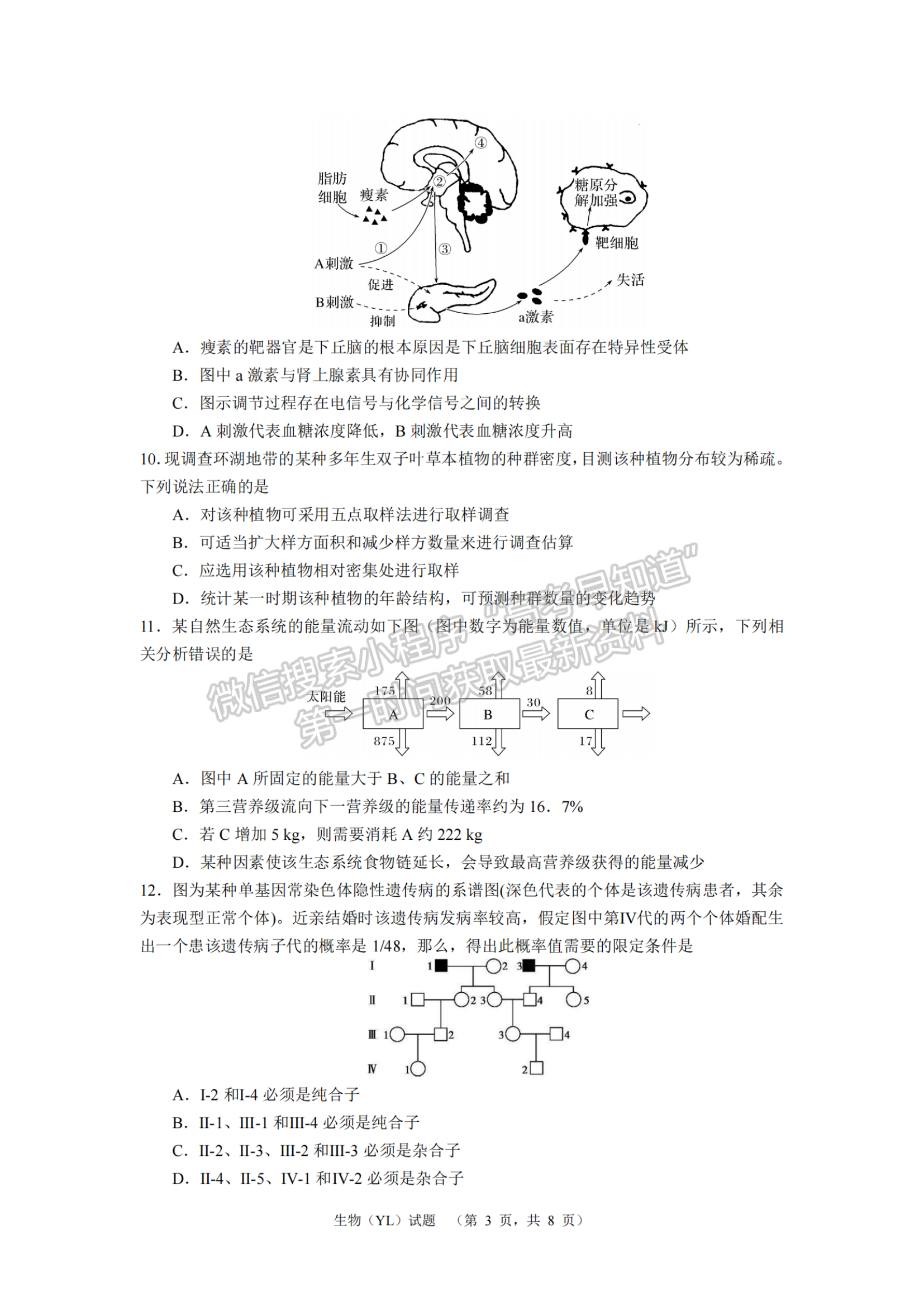 2024届湖南省长沙市雅礼中学高三一模生物试题及答案