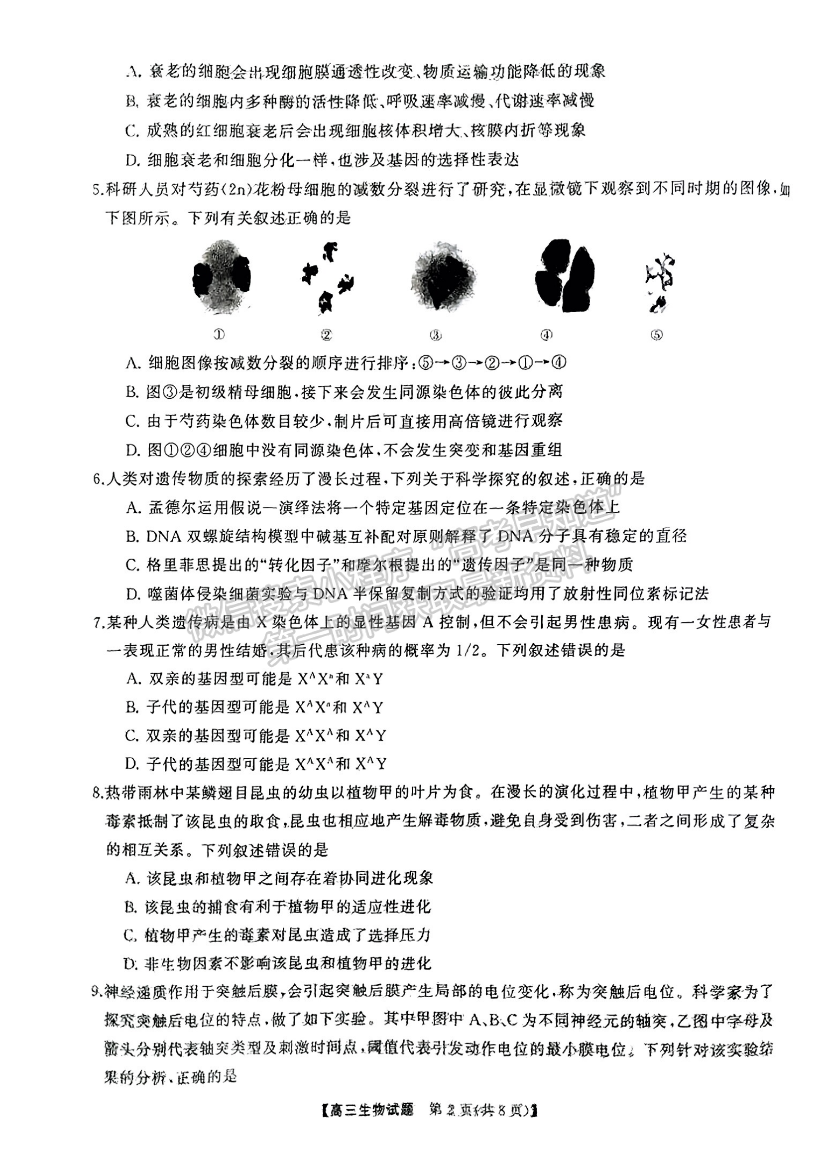 2024届湖南省名校教育联盟高三下学期入学摸底生物试题及答案