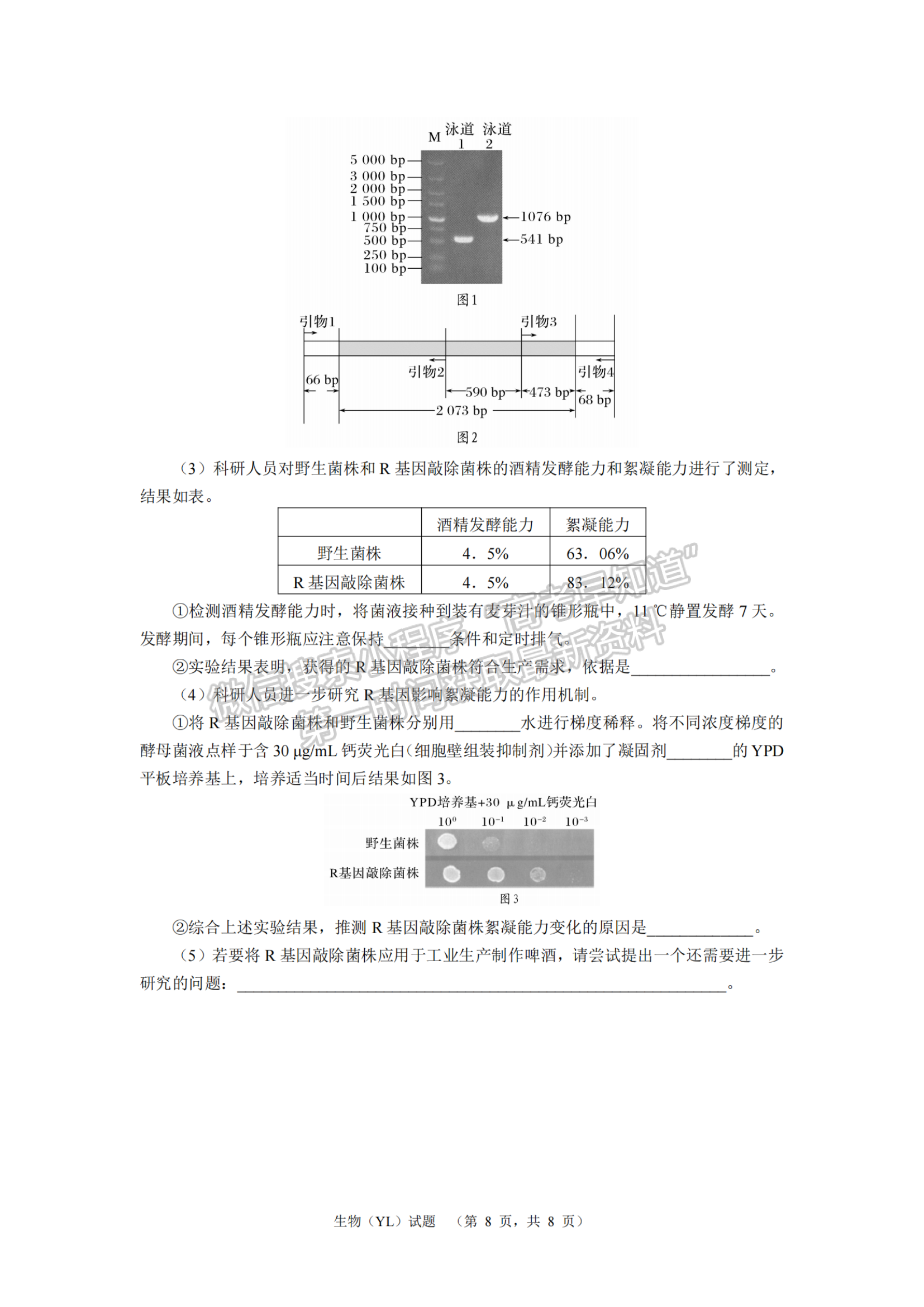 2024届湖南省长沙市雅礼中学高三一模生物试题及答案