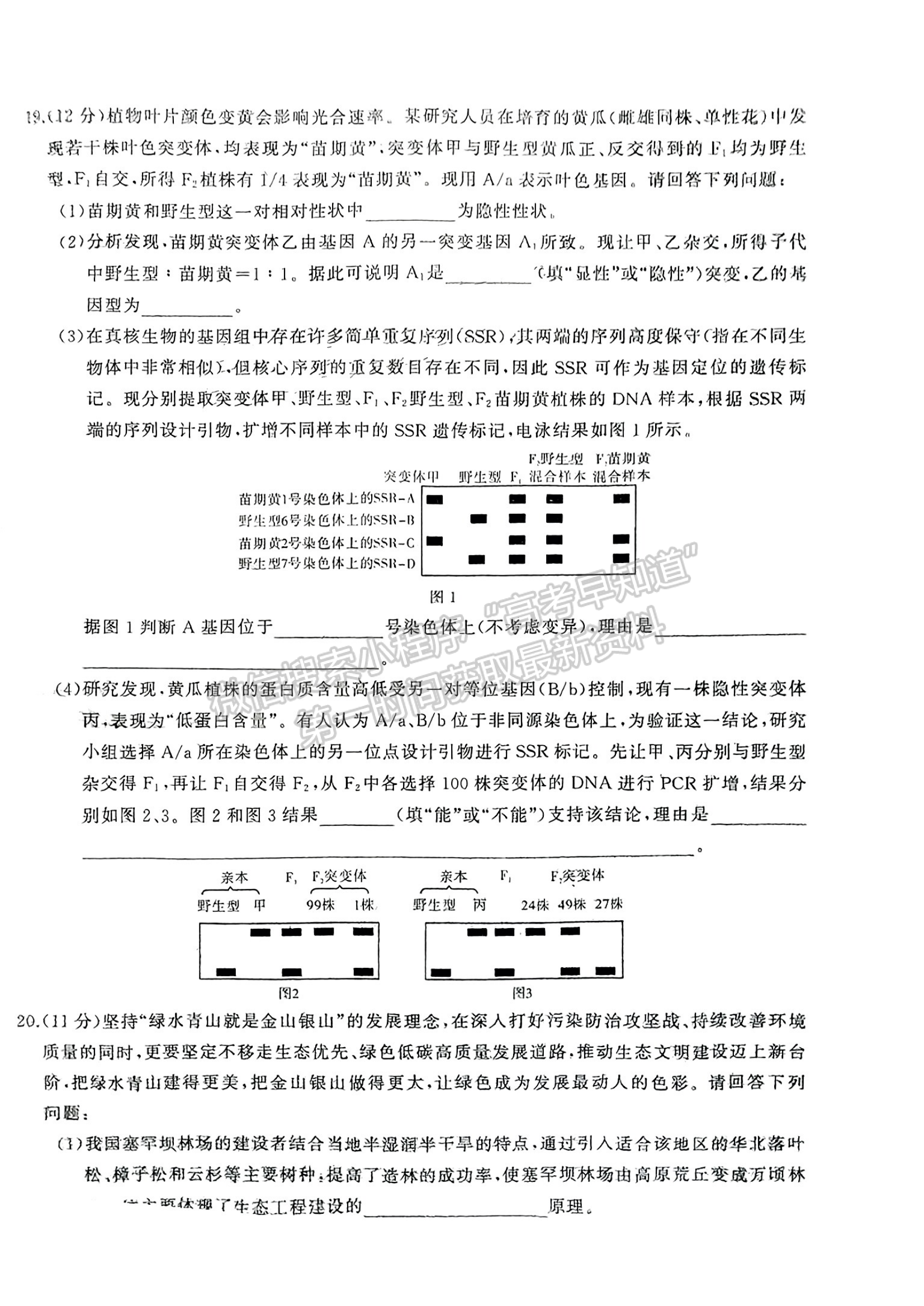 2024届湖南省名校教育联盟高三下学期入学摸底生物试题及答案