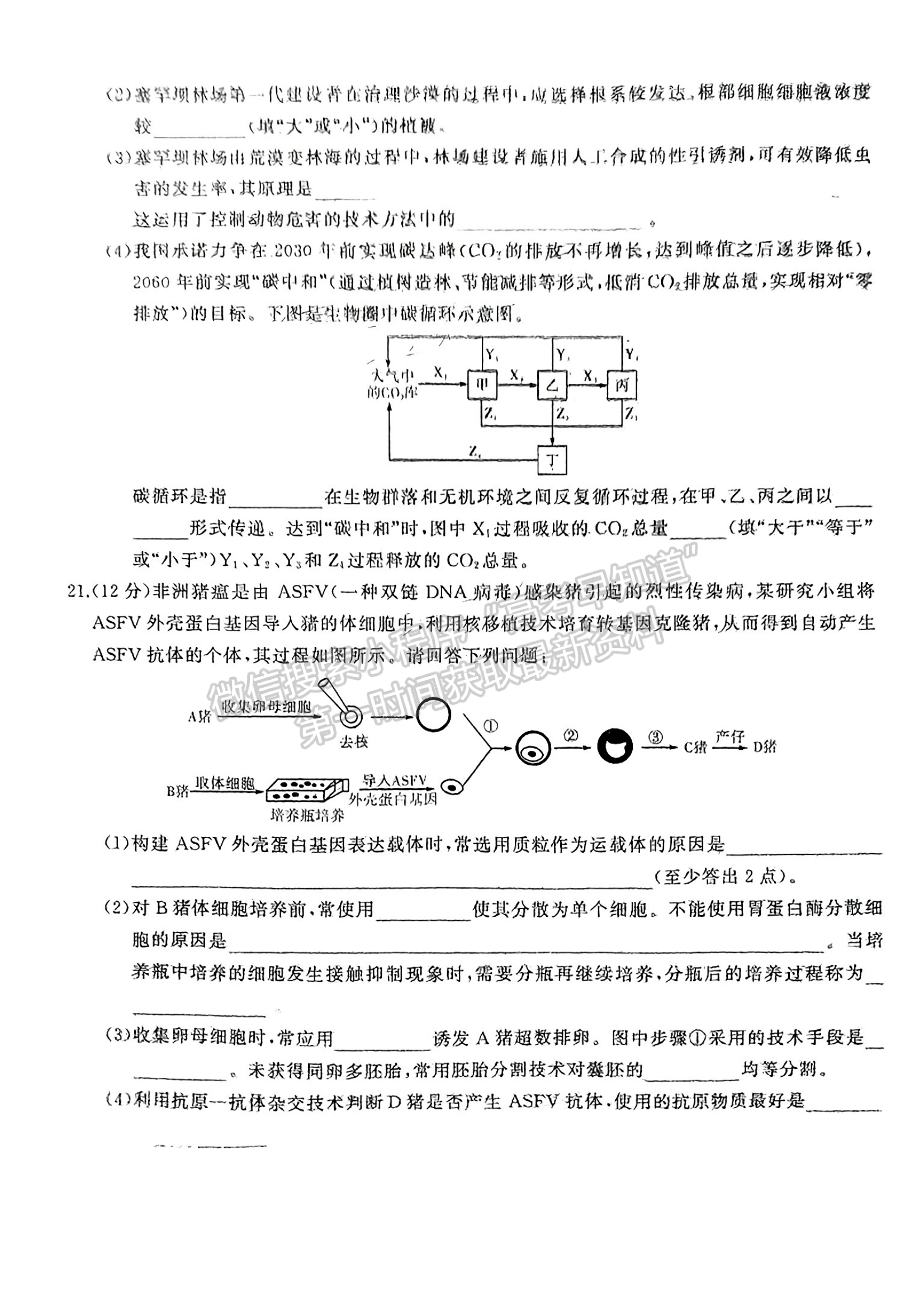 2024届湖南省名校教育联盟高三下学期入学摸底生物试题及答案