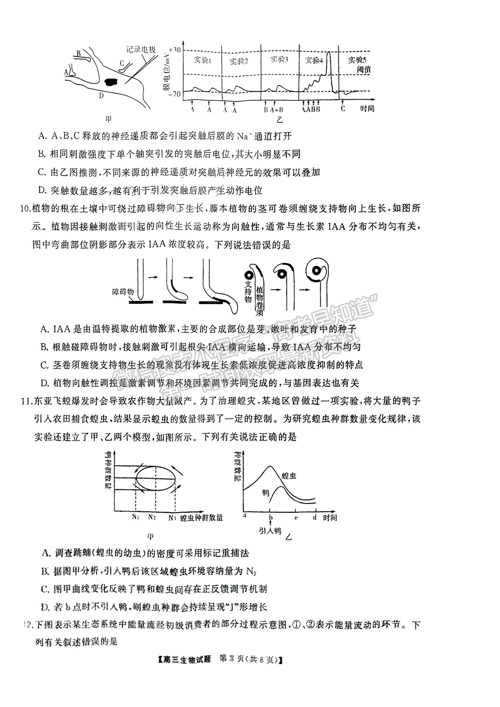 2024届湖南省名校教育联盟高三下学期入学摸底生物试题及答案