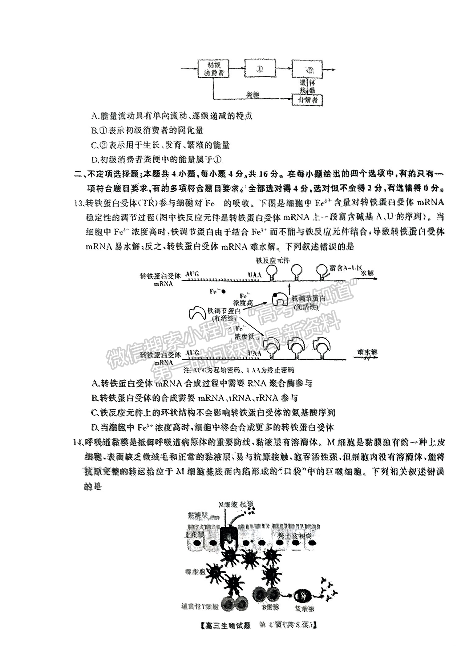 2024屆湖南省名校教育聯(lián)盟高三下學期入學摸底生物試題及答案