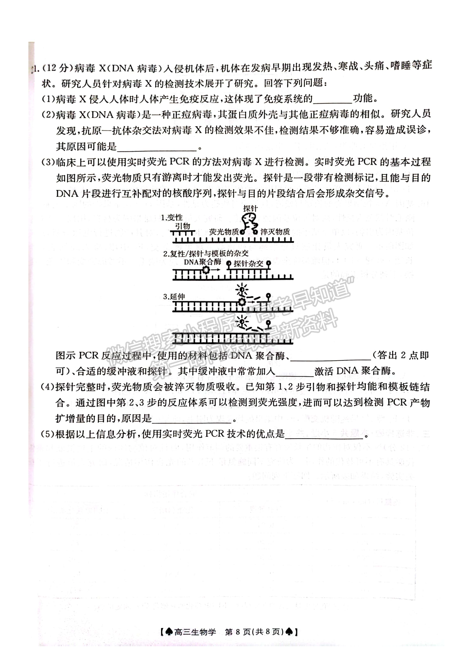 2024屆湖南省創(chuàng)新發(fā)展聯(lián)合體高三2月入學(xué)統(tǒng)一考試生物試題及答案