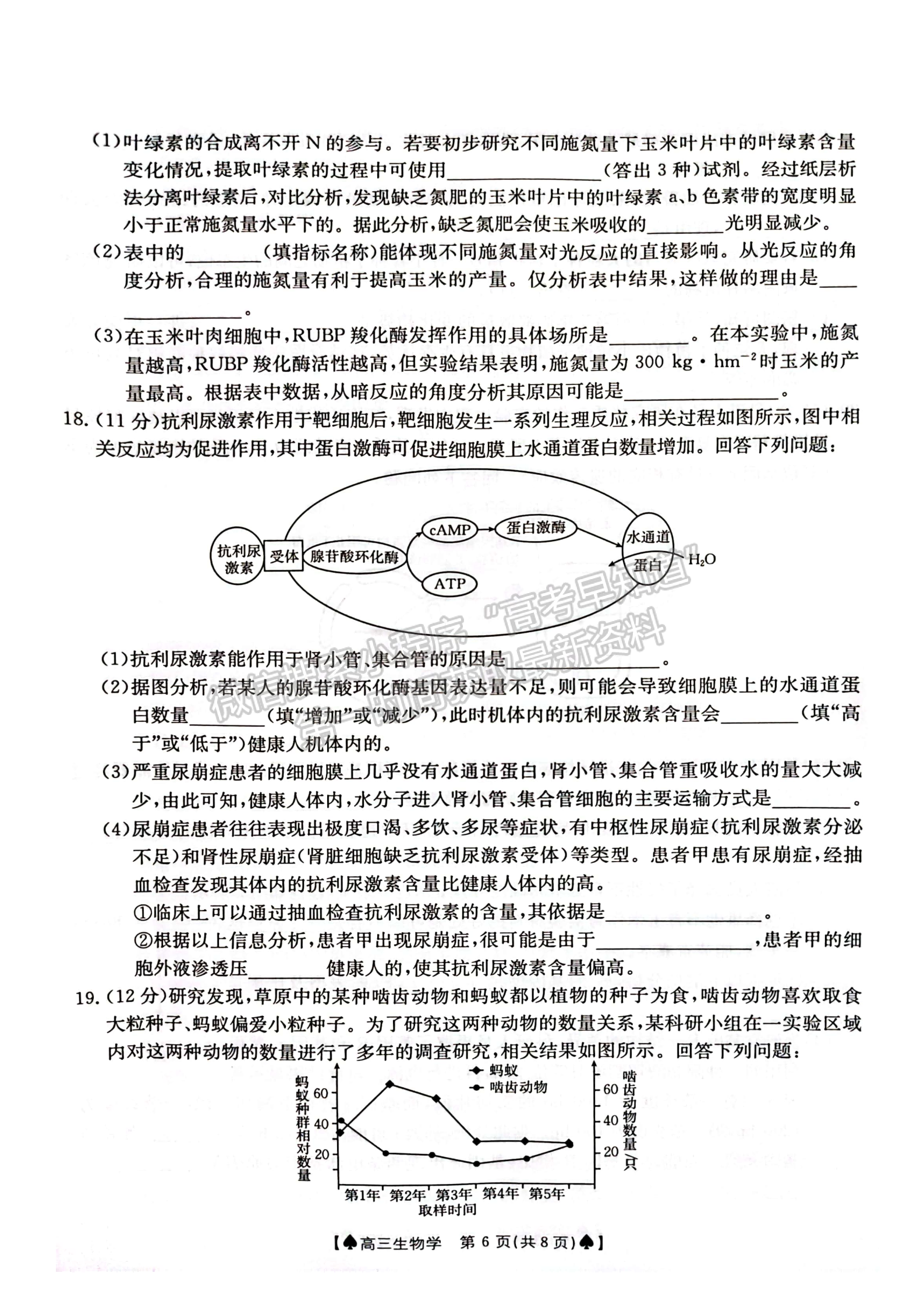 2024屆湖南省創(chuàng)新發(fā)展聯(lián)合體高三2月入學(xué)統(tǒng)一考試生物試題及答案