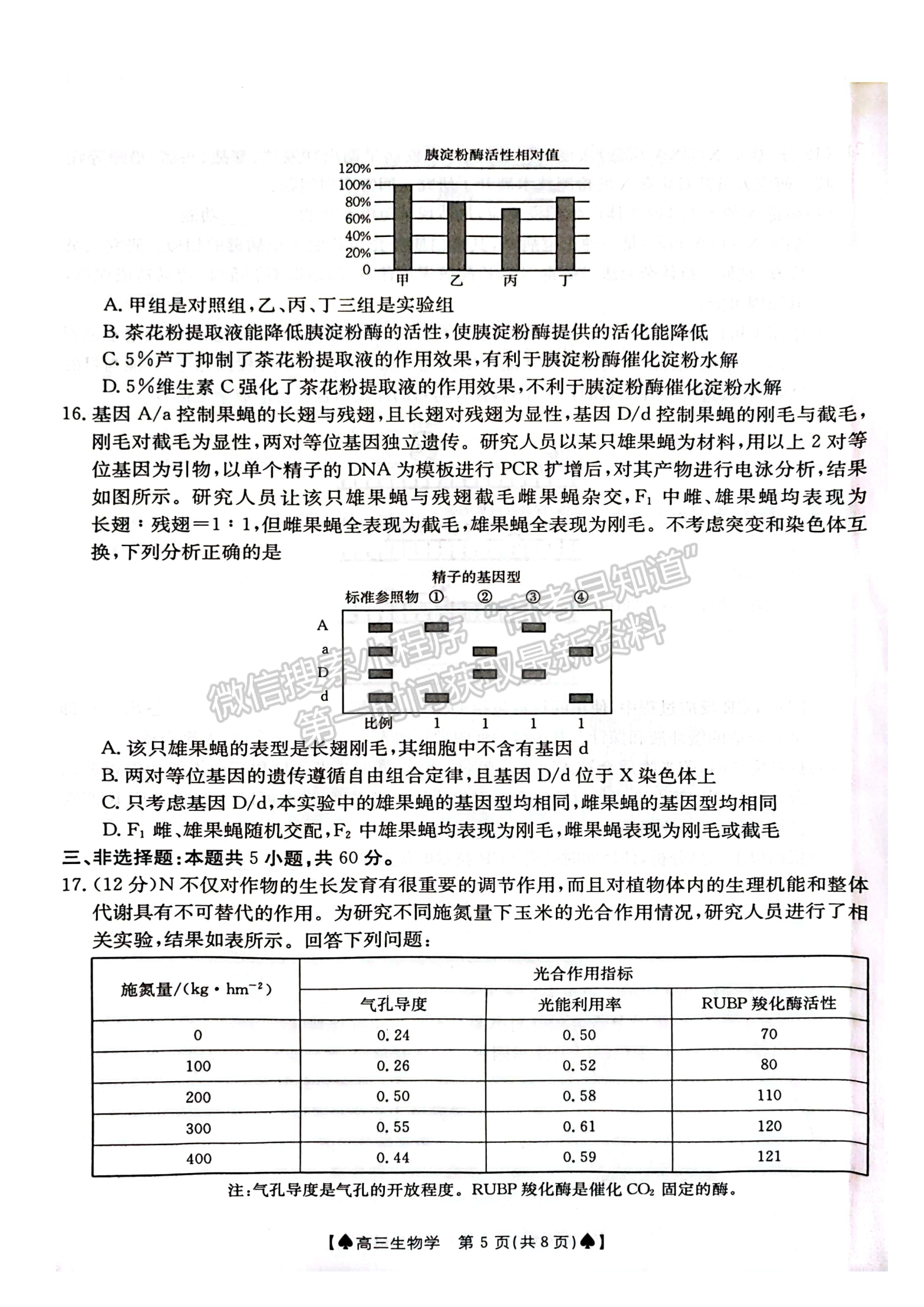 2024屆湖南省創(chuàng)新發(fā)展聯(lián)合體高三2月入學(xué)統(tǒng)一考試生物試題及答案