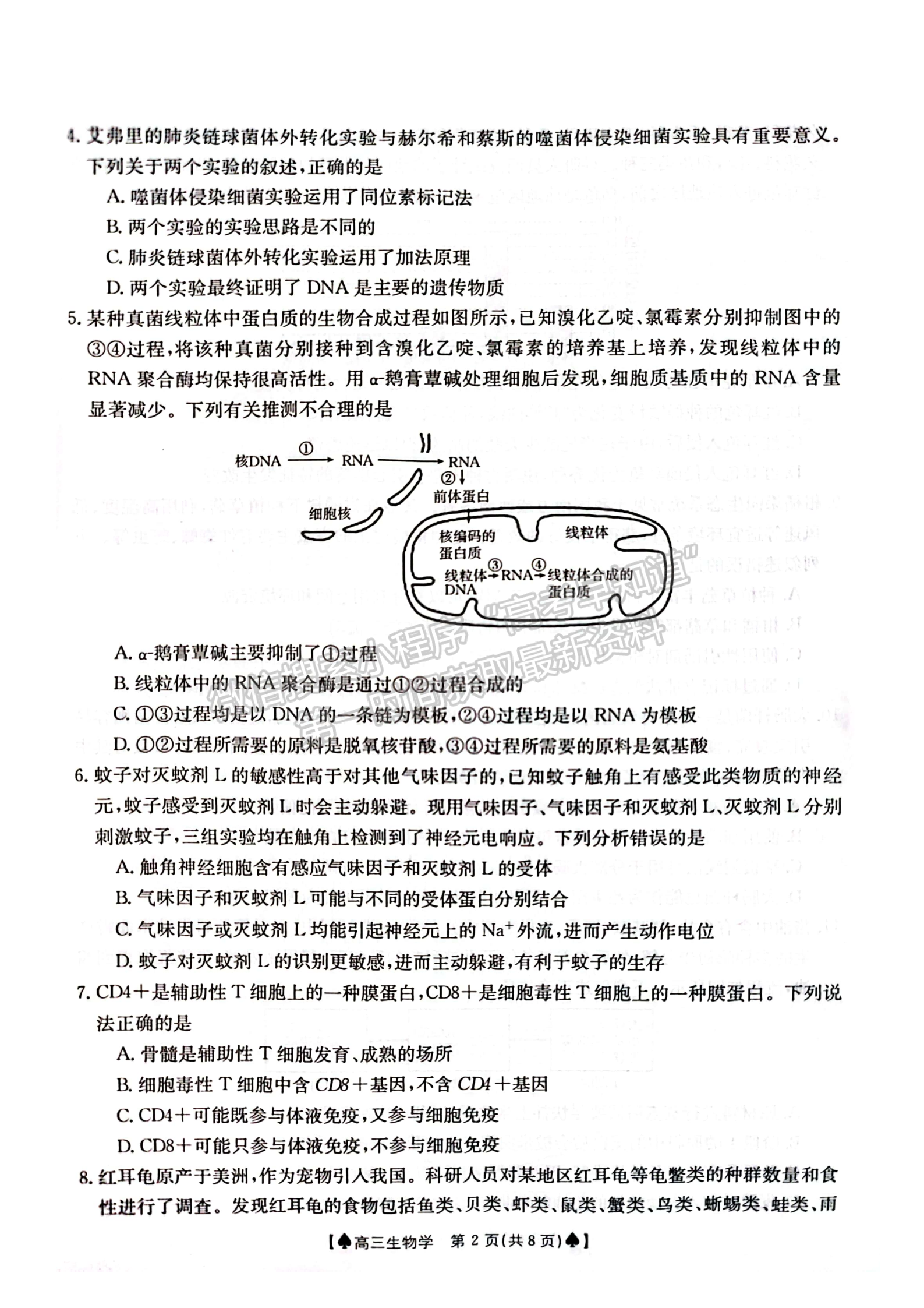 2024屆湖南省創(chuàng)新發(fā)展聯(lián)合體高三2月入學統(tǒng)一考試生物試題及答案