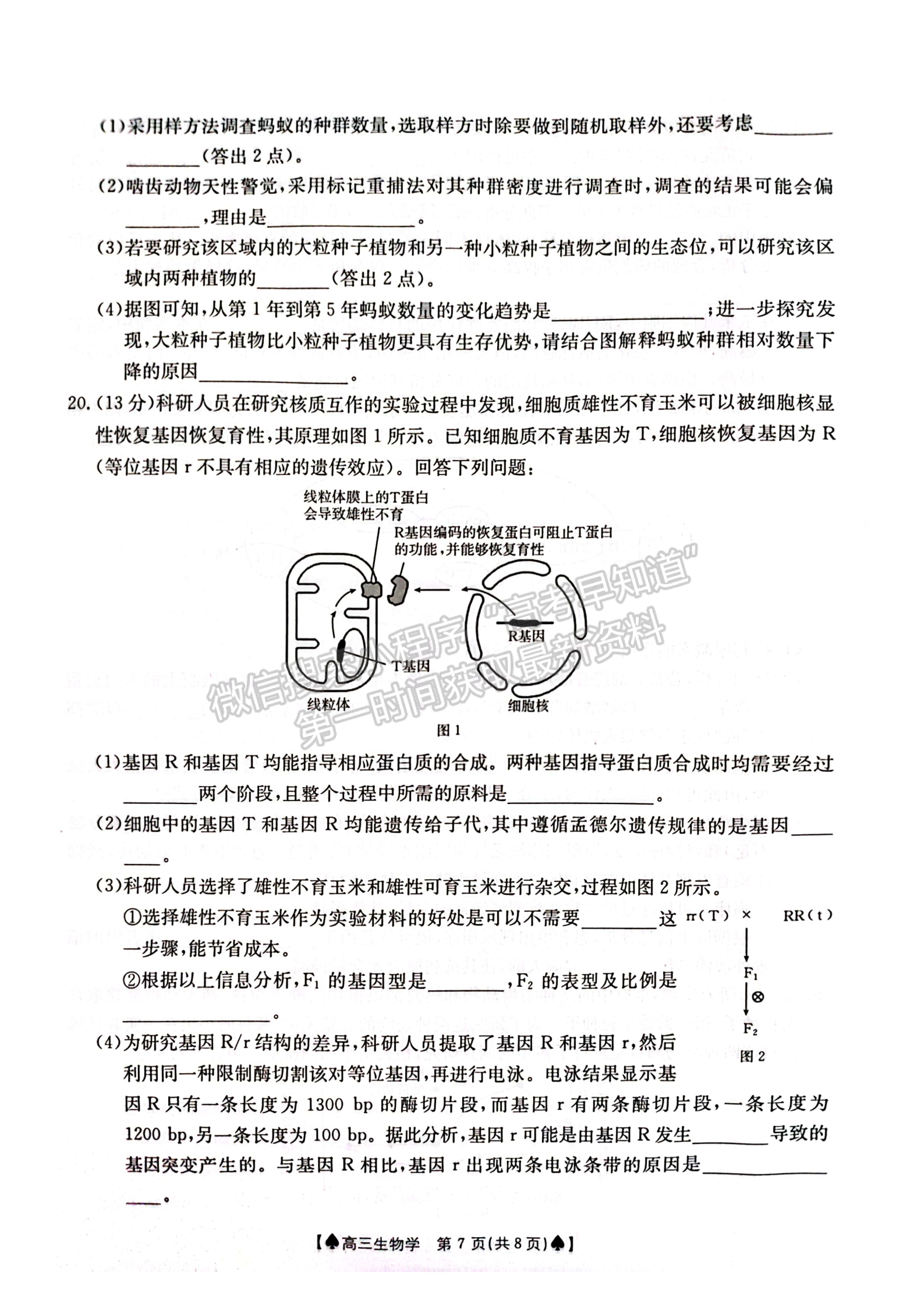 2024屆湖南省創(chuàng)新發(fā)展聯(lián)合體高三2月入學(xué)統(tǒng)一考試生物試題及答案