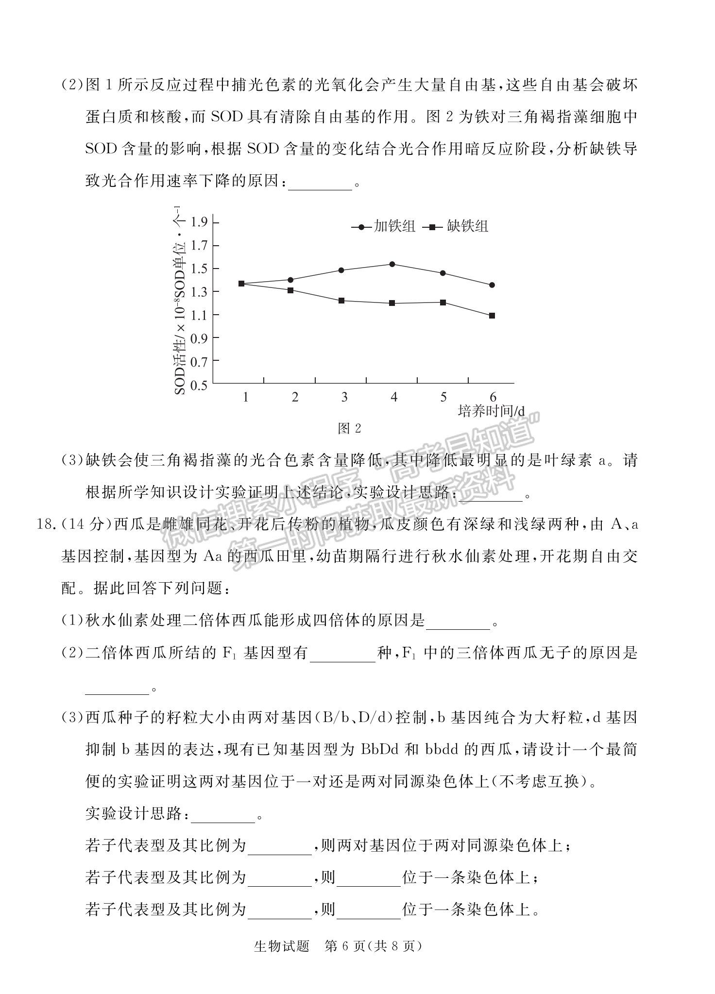 2024届广东省湛江市高三一模生物试题及答案