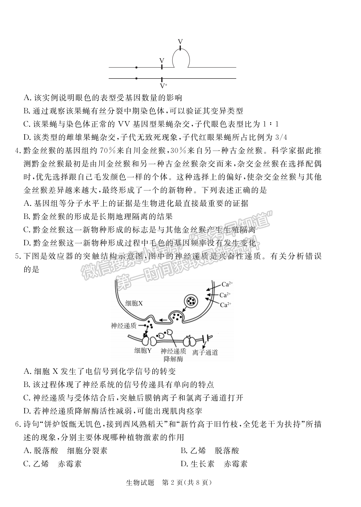 2024届广东省湛江市高三一模生物试题及答案