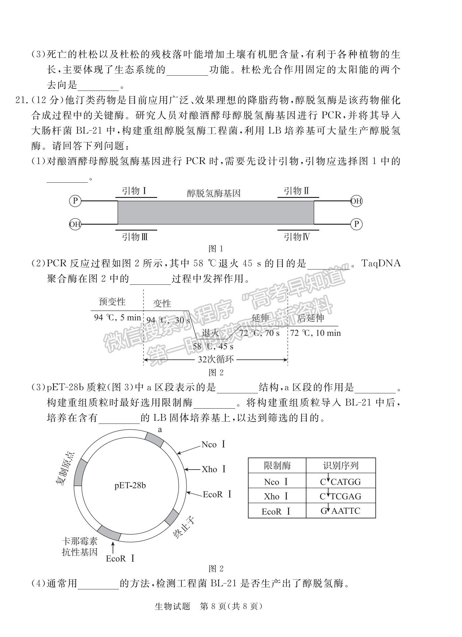 2024届广东省湛江市高三一模生物试题及答案