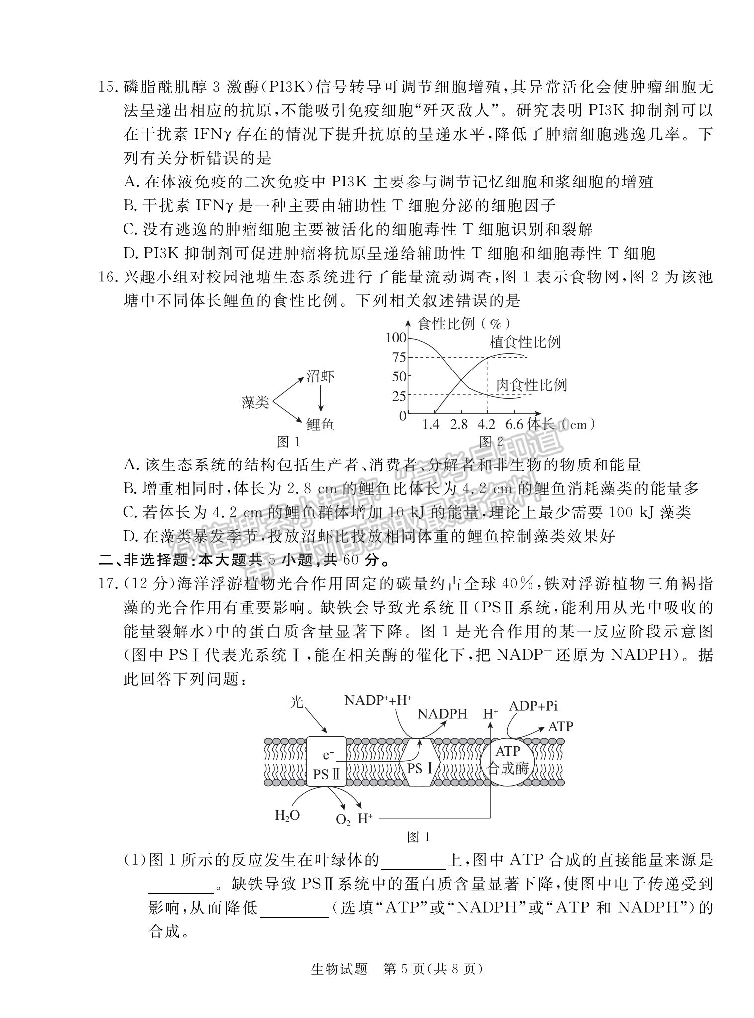 2024届广东省湛江市高三一模生物试题及答案