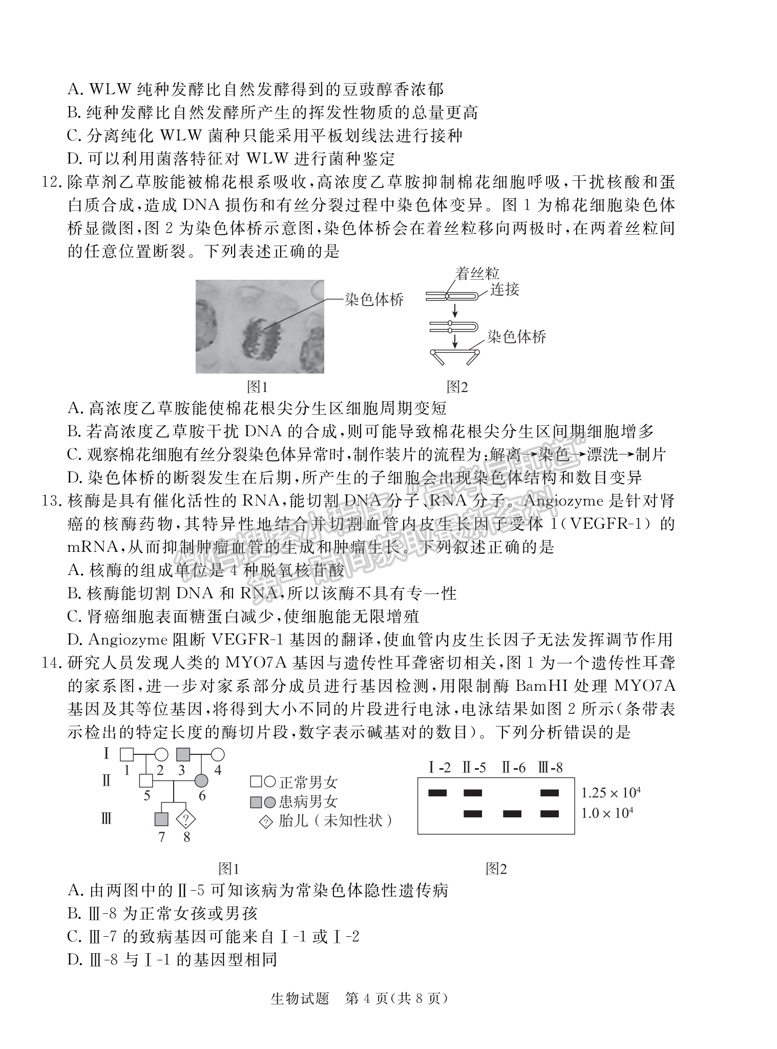 2024届广东省湛江市高三一模生物试题及答案