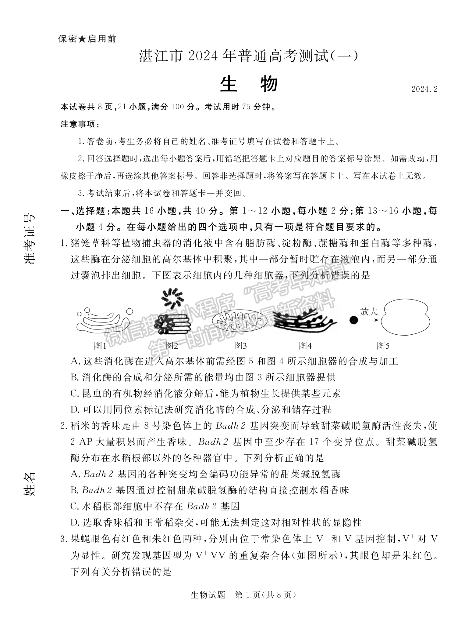 2024届广东省湛江市高三一模生物试题及答案