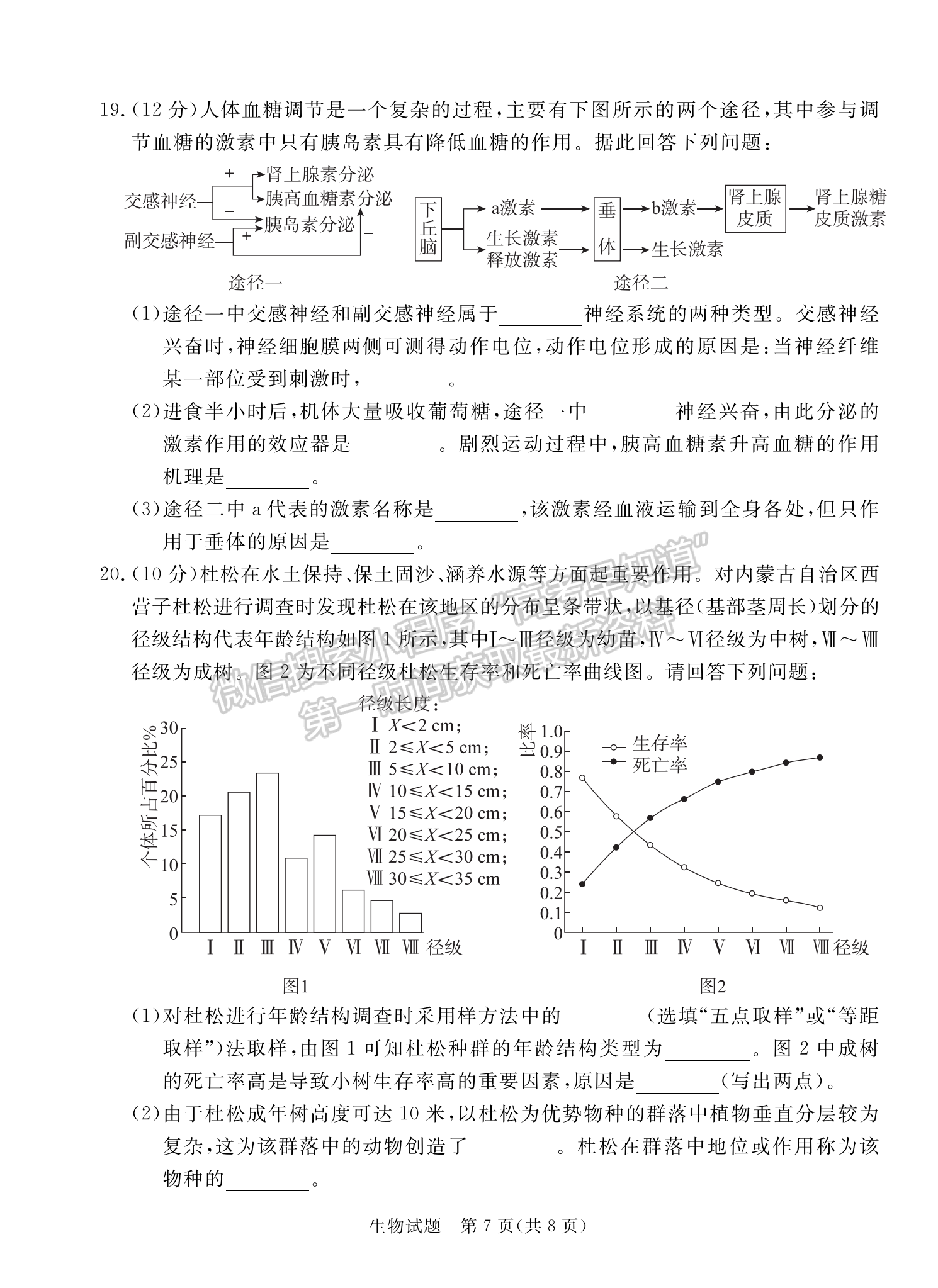 2024届广东省湛江市高三一模生物试题及答案