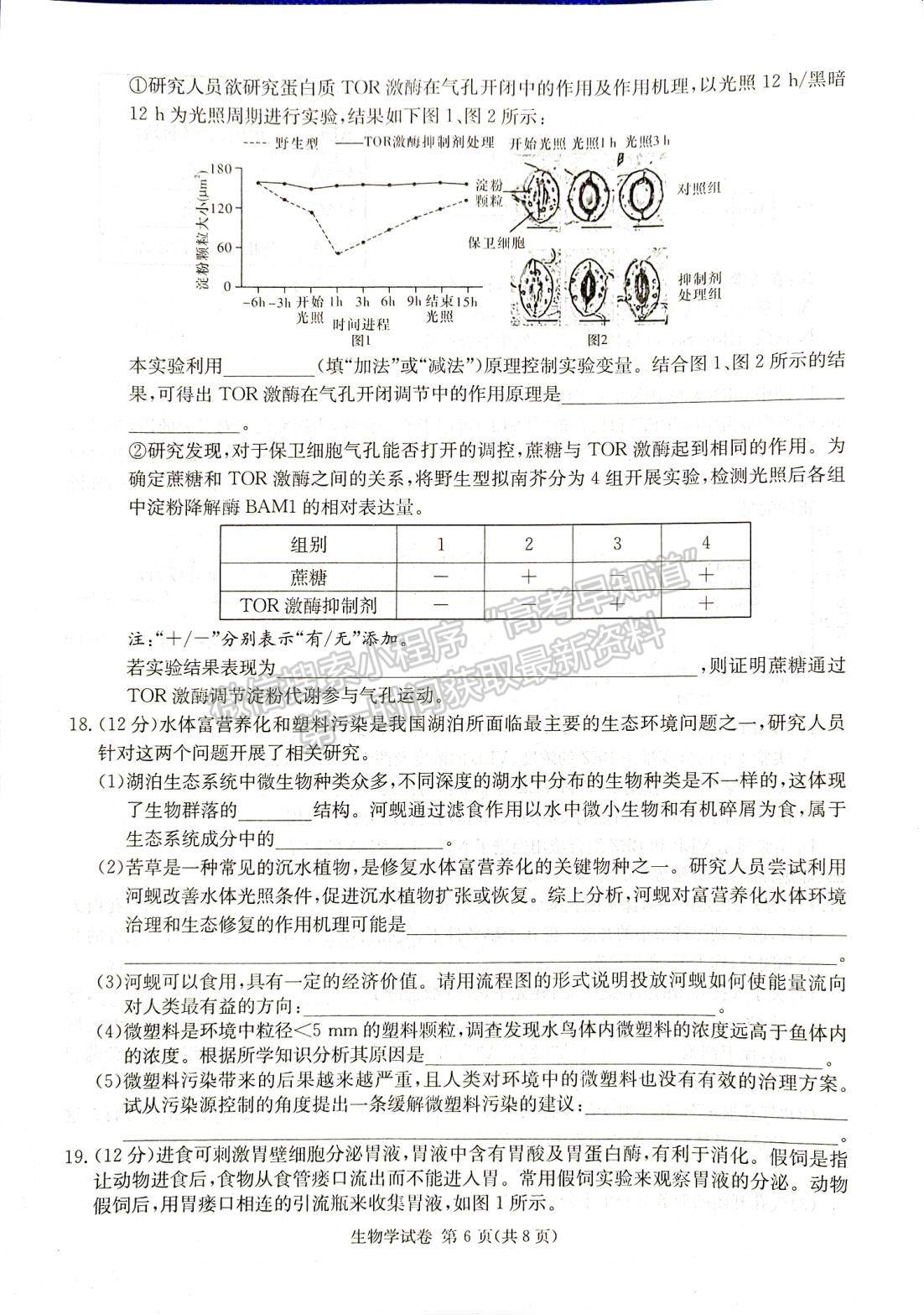 2024届湖南新高考教学教研联盟(长郡18校）高三第一次联考生物试题及答案