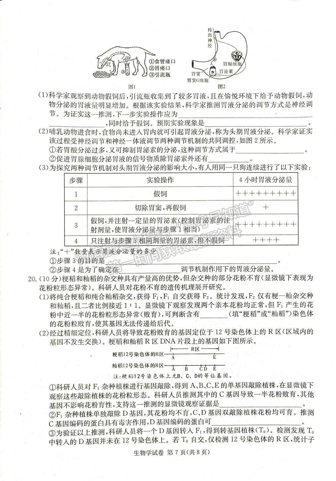 2024届湖南新高考教学教研联盟(长郡18校）高三第一次联考生物试题及答案