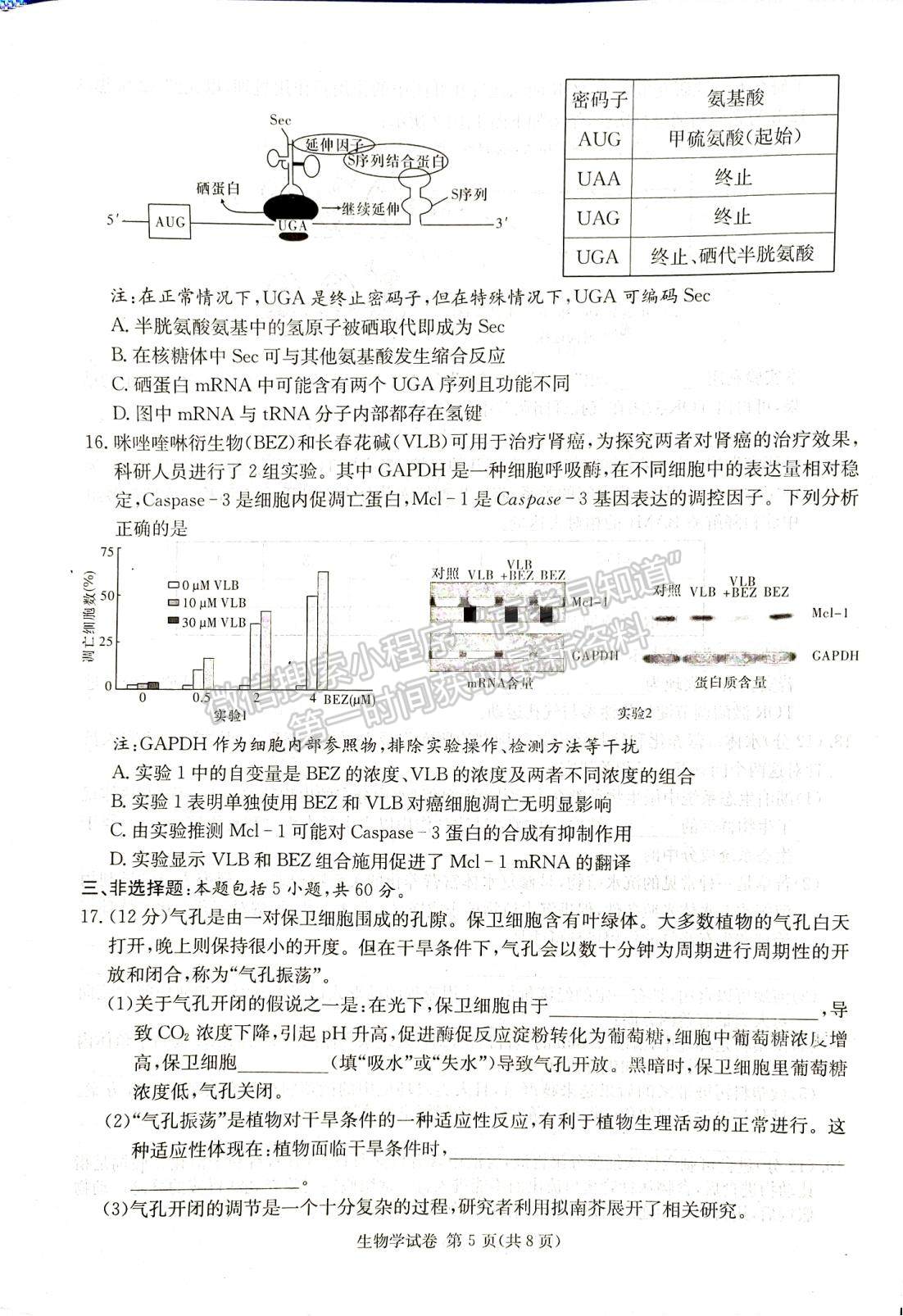 2024届湖南新高考教学教研联盟(长郡18校）高三第一次联考生物试题及答案