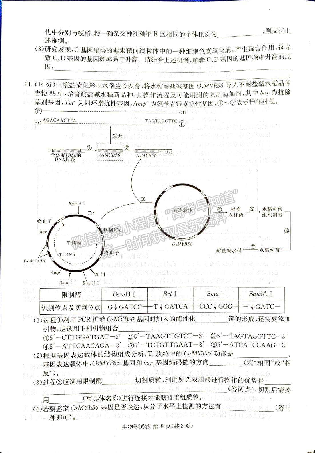 2024届湖南新高考教学教研联盟(长郡18校）高三第一次联考生物试题及答案