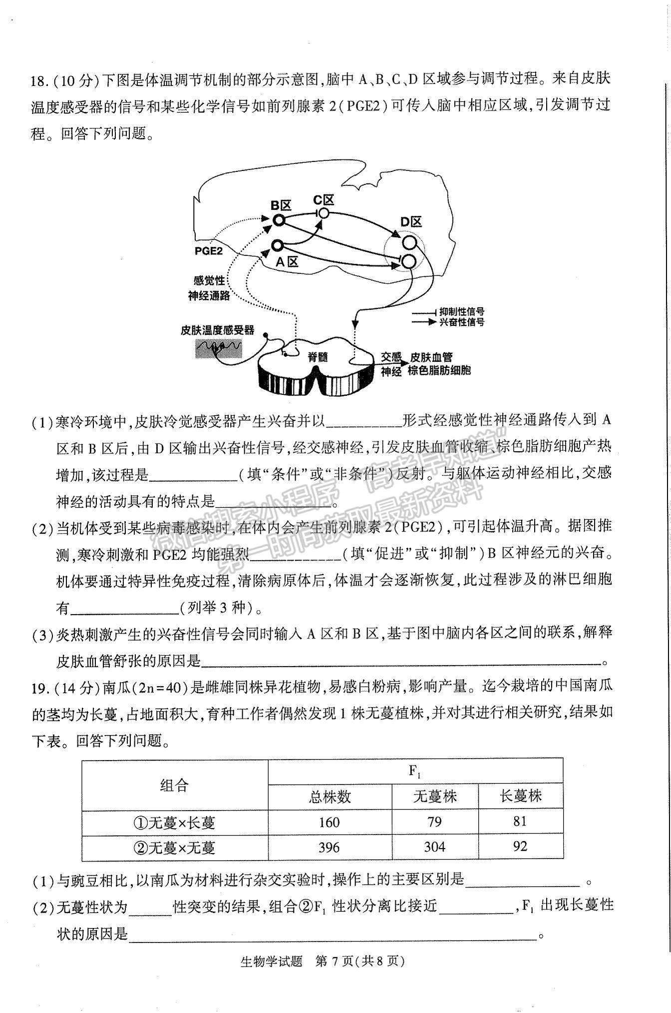 2024屆安徽省合肥市高三一模生物試卷及參考答案