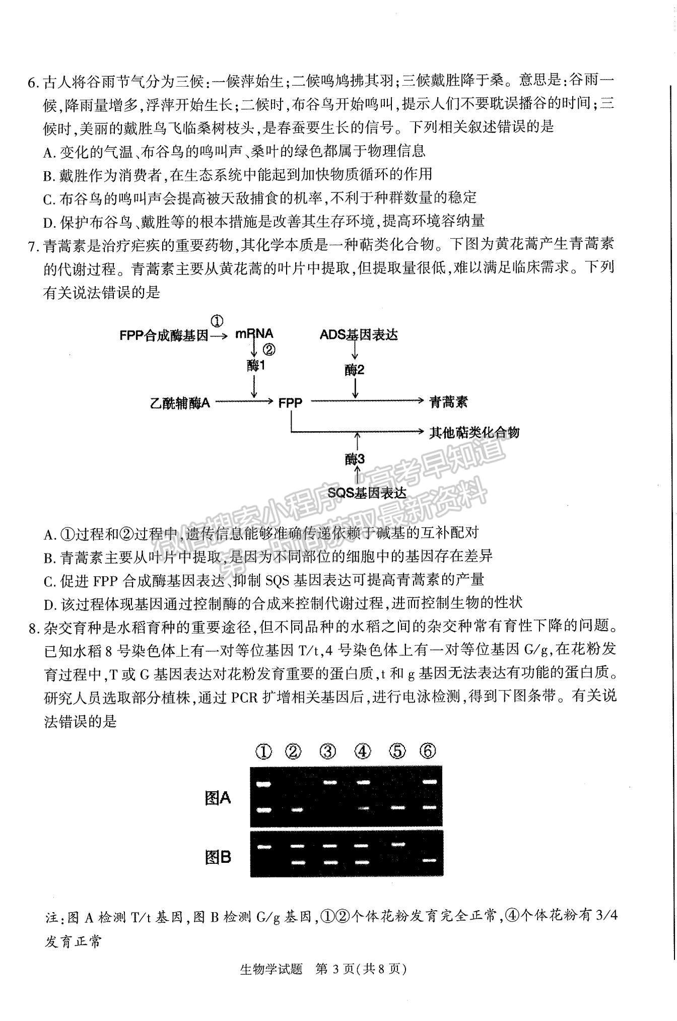 2024屆安徽省合肥市高三一模生物試卷及參考答案